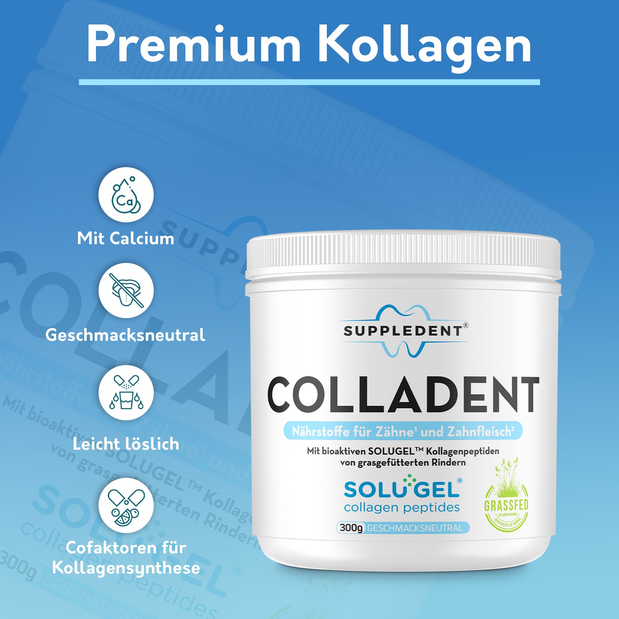 SUPPLEDENT Colladent