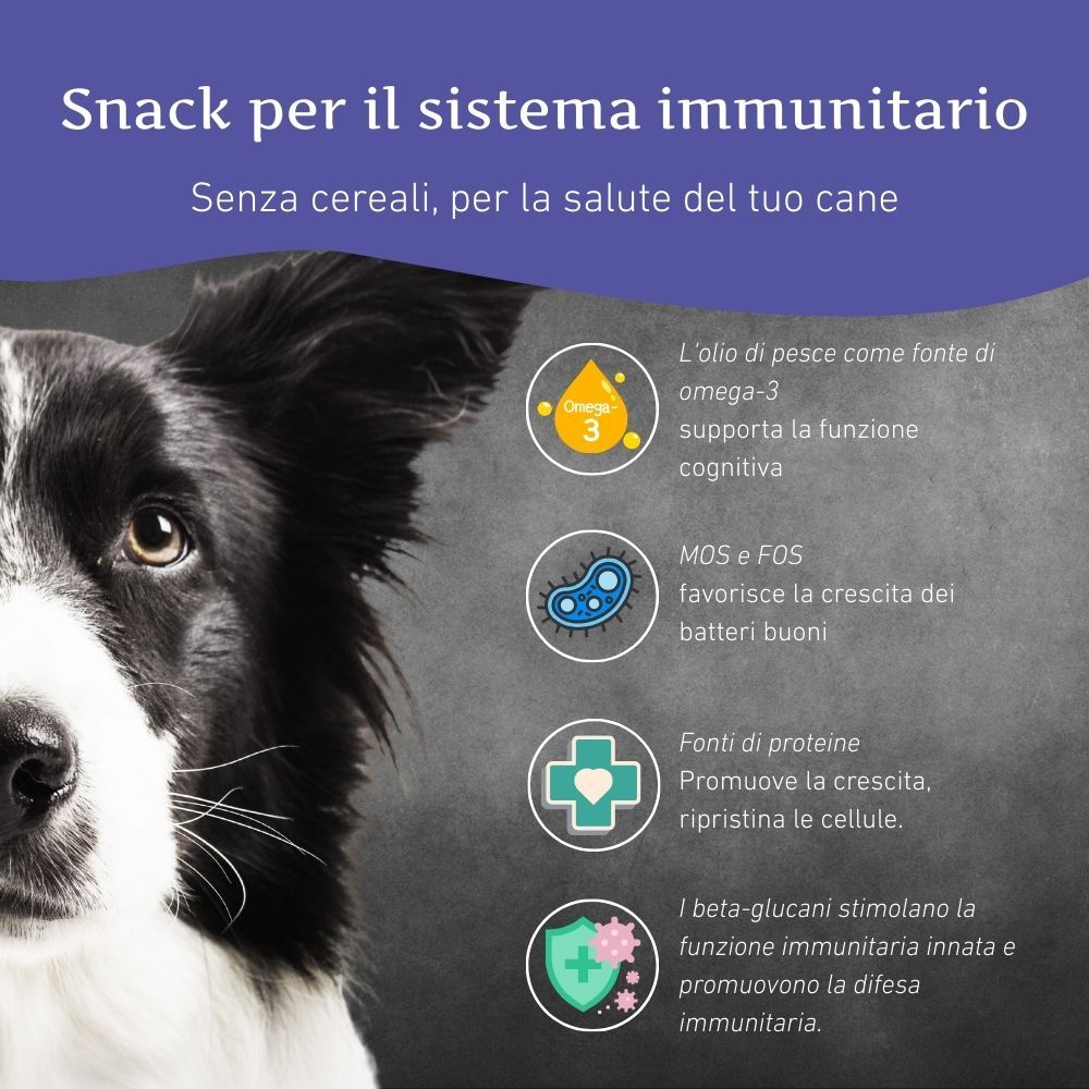 Hund mit Text und Icons. Text: Snack per il sistema immunitario. Icons: Omega-3, Bakterien, Zellen. Logo: Wildfang.