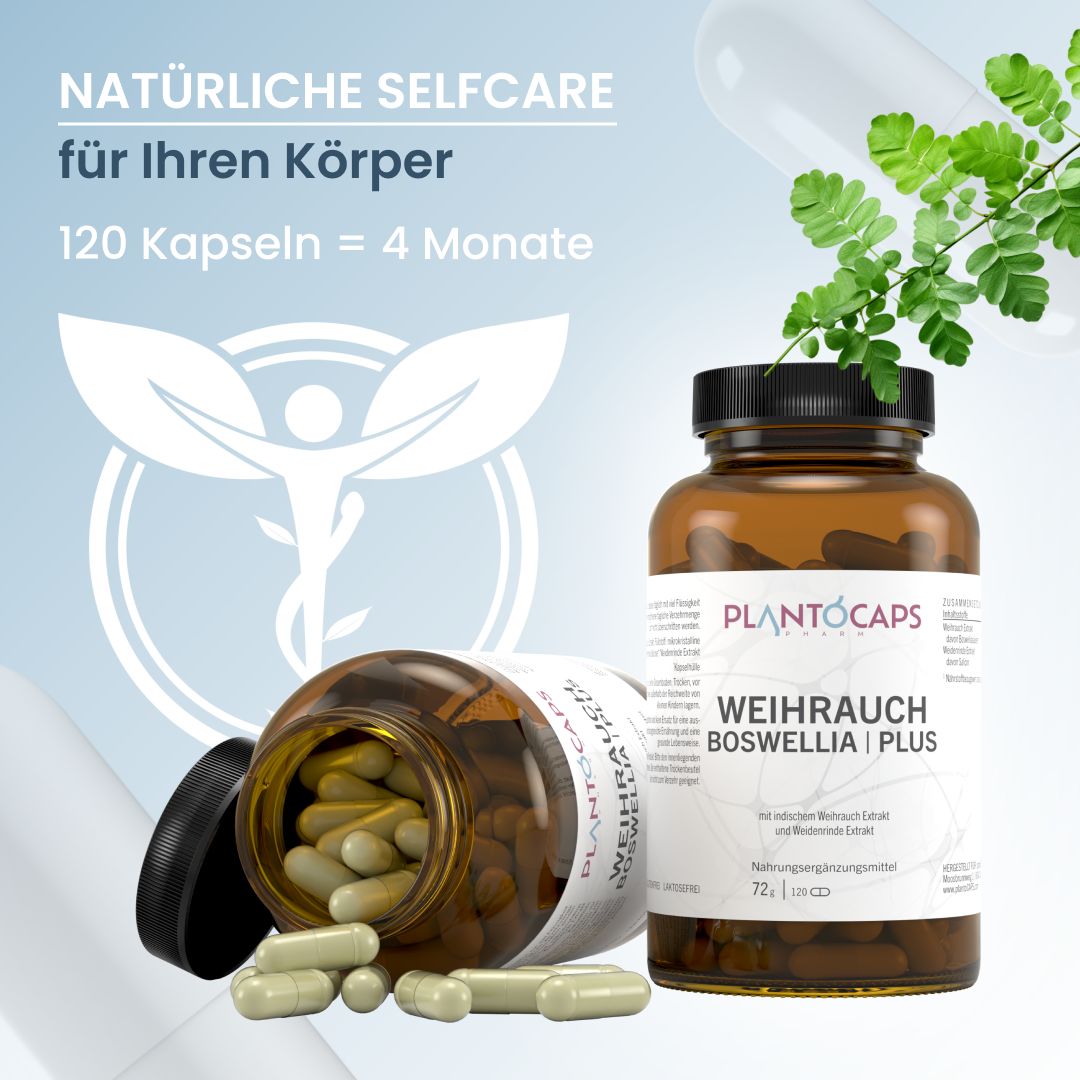 plantoCAPS® Weihrauch Boswellia PUR | Plus 120 St Kapseln