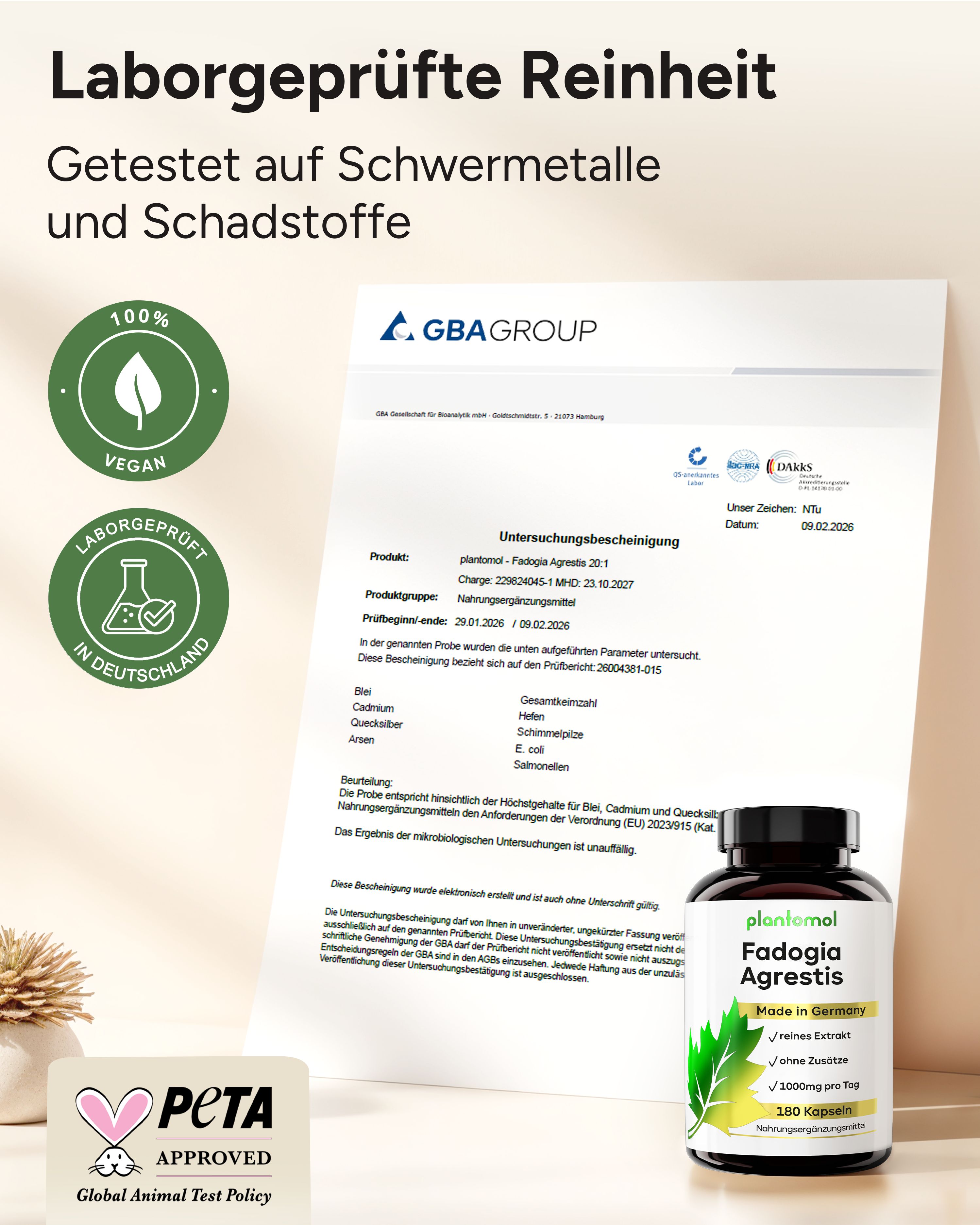 plantomol® Fadogia Agrestis Extrakt Kapseln ohne Zusätze - 20.000mg Fadogia pro Tag (2 Kapseln)