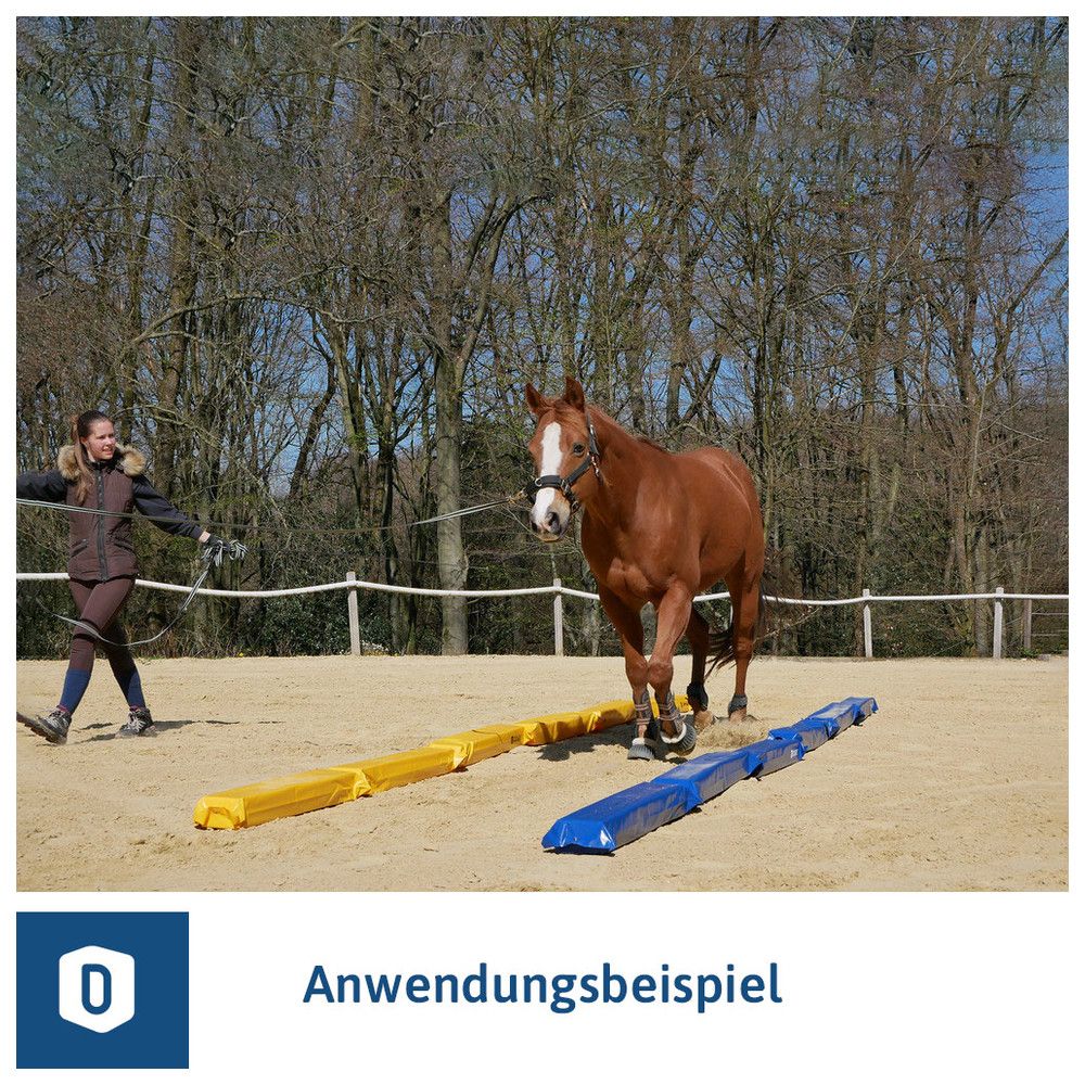 Cintura Equitazione In Cuoio Con Motivo Southwest EQUESTRO | DECATHLON - Foto 9