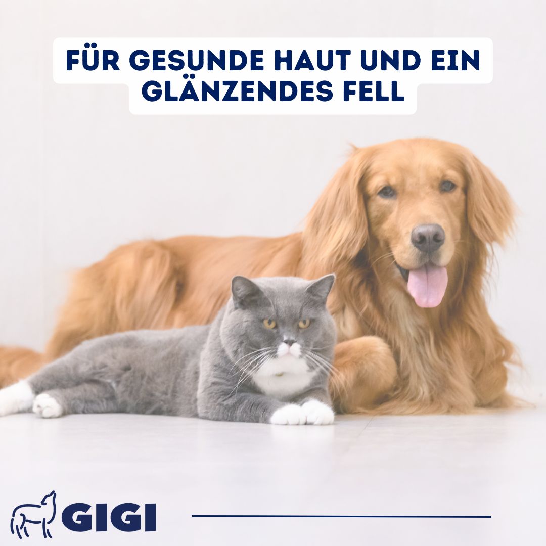 Golden Retriever und Katze liegen nebeneinander. Text: "Für gesunde Haut und ein glänzendes Fell".