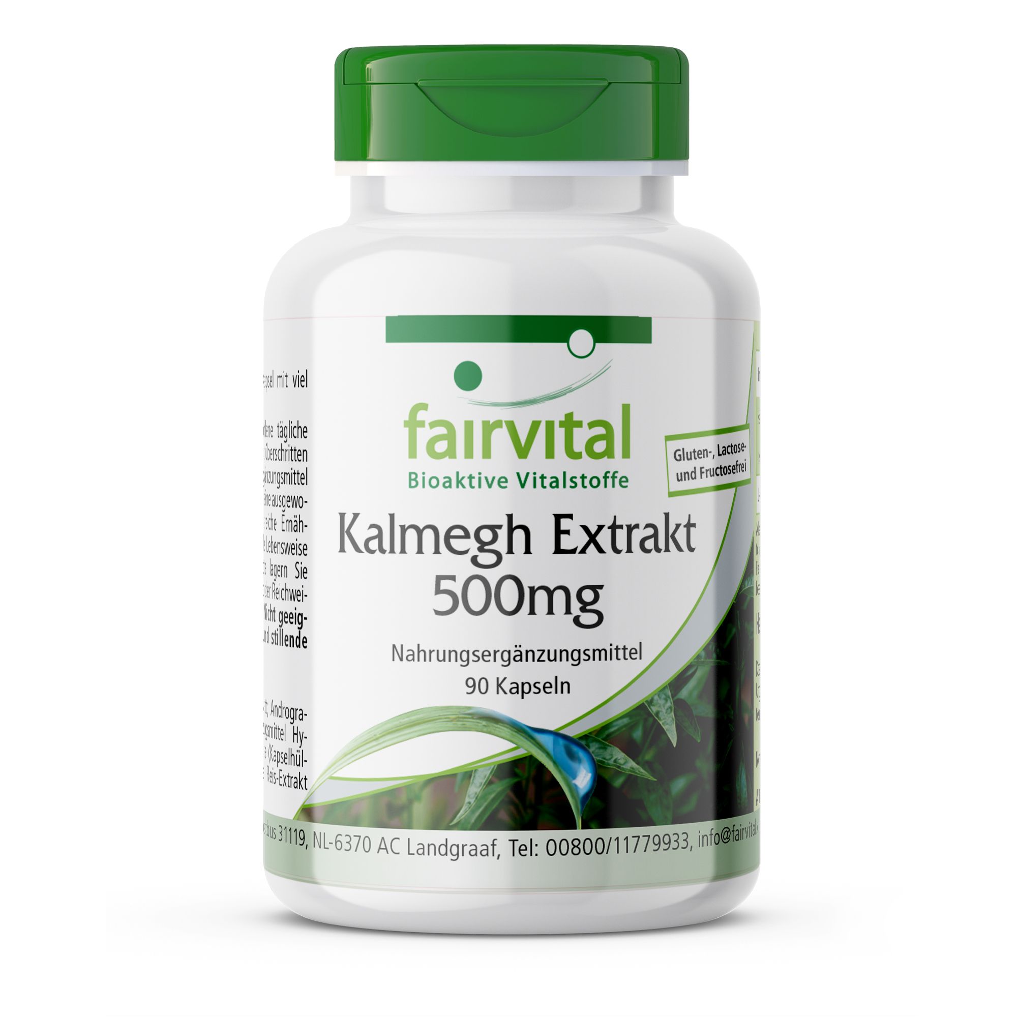 Fairvital | Kalmegh-extract 500 mg - gemakkelijk door te slikken 5-voudig geconcentreerd hoog 90