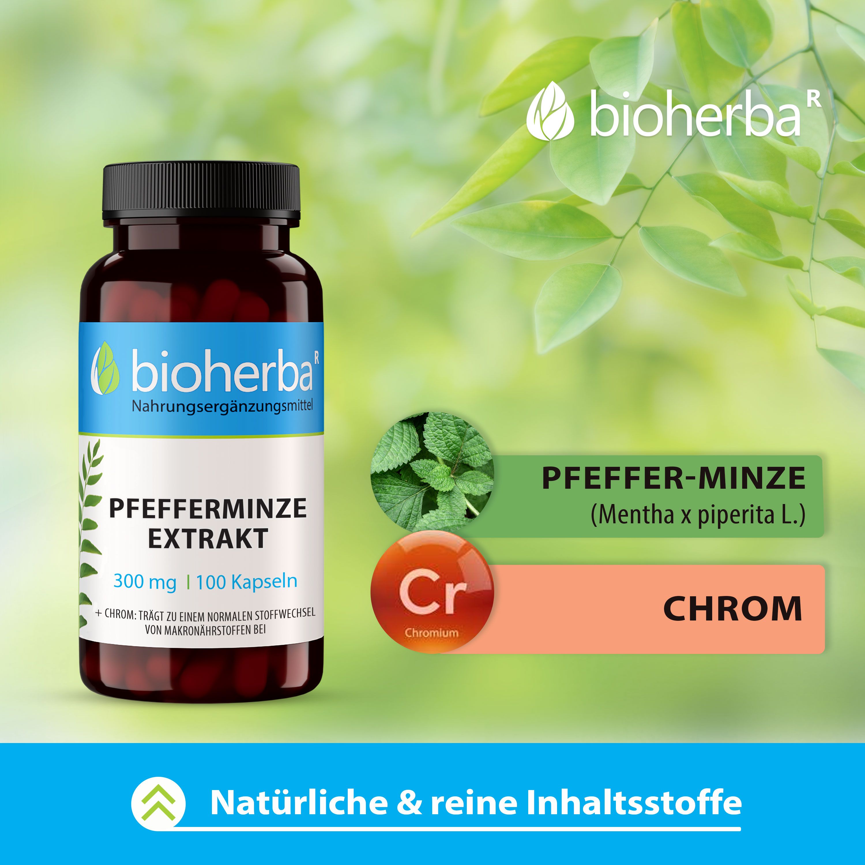 Bioherba Pfefferminze Extrakt Kapseln