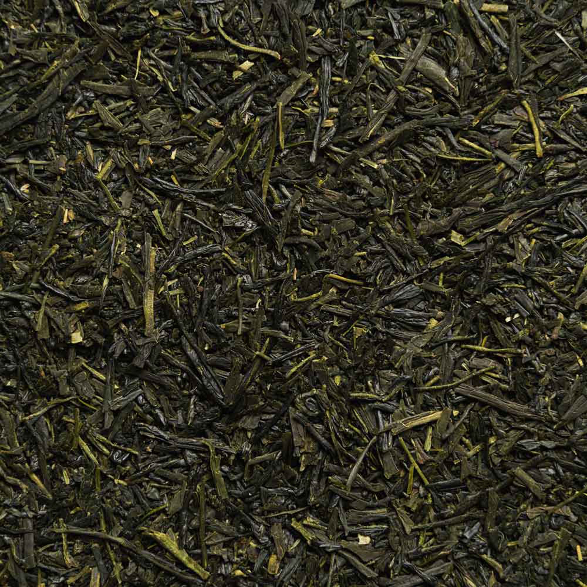 Biotiva Japan Gyokuro Bio 100 g Tee