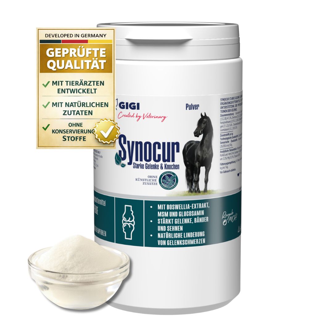 Weiße Dose mit Pulver und Schale. Text: Synocur, Gelenke & Knochen. Mit Boswellia-Extrakt, MSM und Glucosamin. Logo: GIGI.