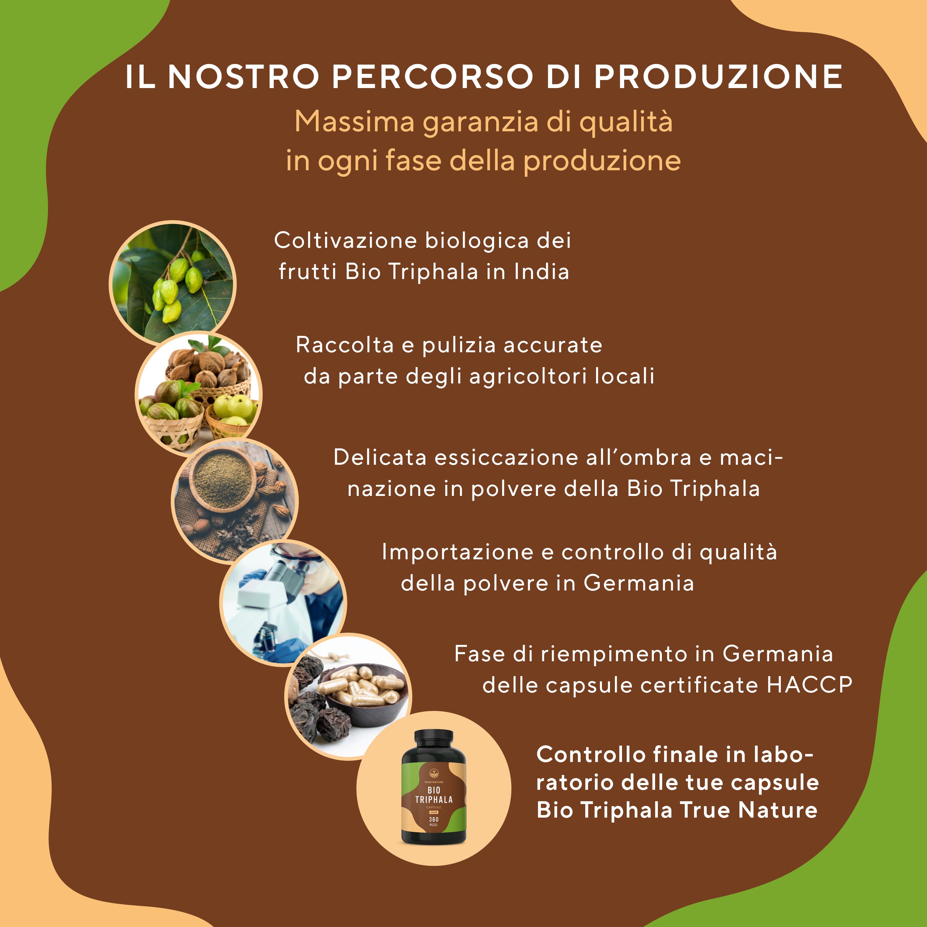 Grafica con fasi di produzione. Coltivazione biologica, raccolta, essiccazione, importazione, riempimento, controllo qualità.