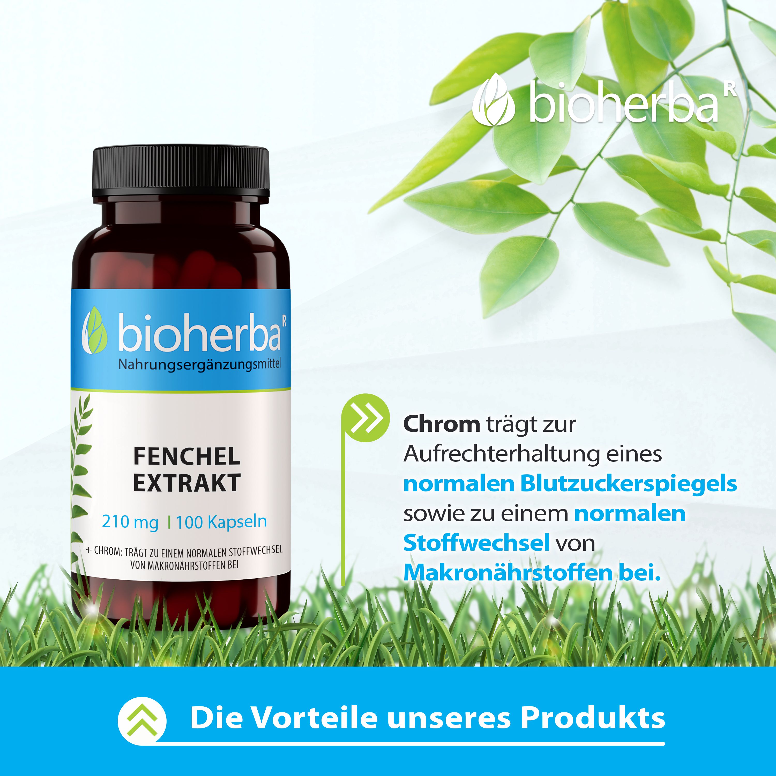 Bioherba Fenchel Extrakt Kapseln
