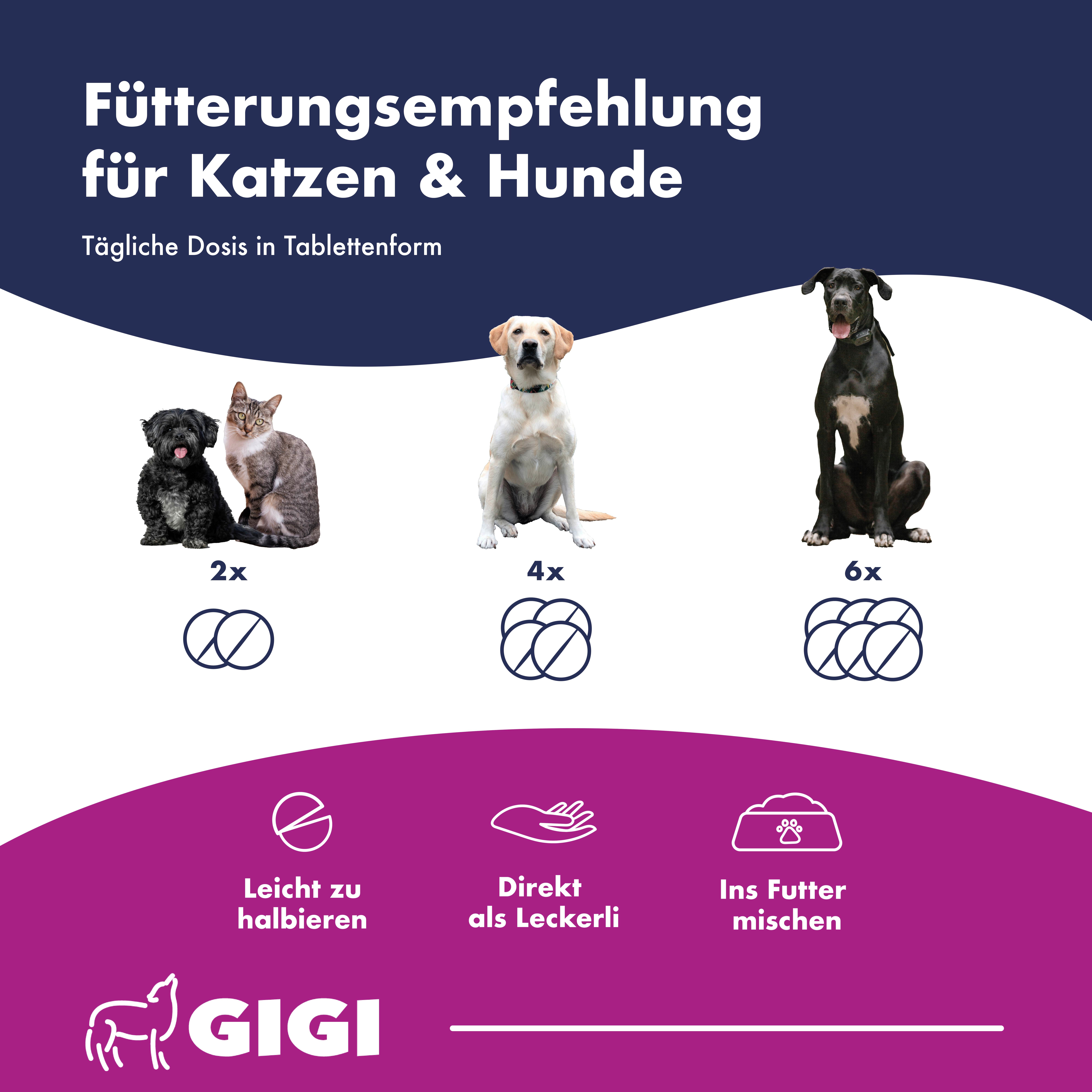 Drei Hunde und Katzen. Text: Fütterungsempfehlung für Katzen & Hunde. Illustrationen: Tabletten.