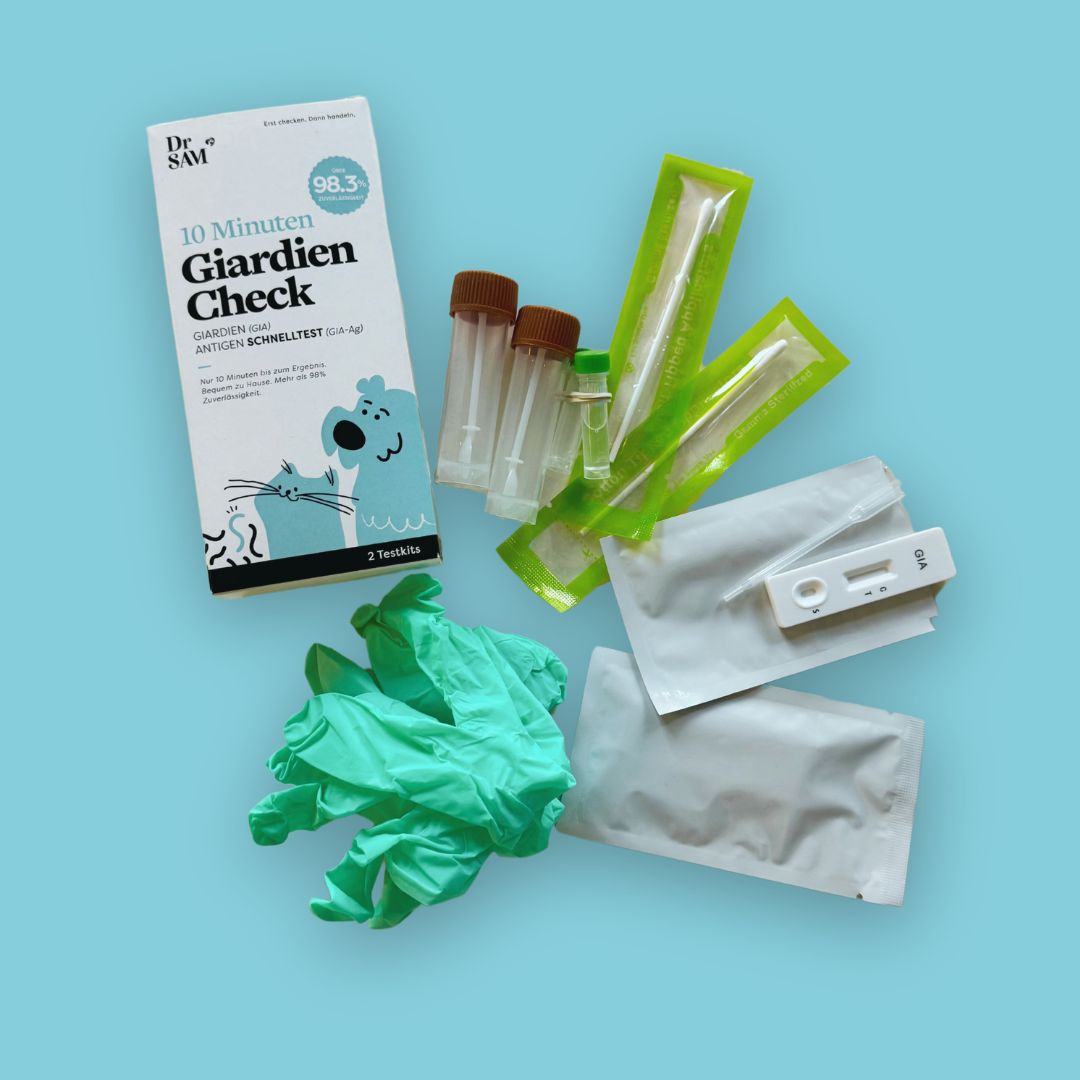 Inhalt des Dr. SAM Giardien Check Sets: Testkassette, Probenröhrchen, Pipetten, Handschuhe, und Verpackung. Auf blauem Hintergrund.