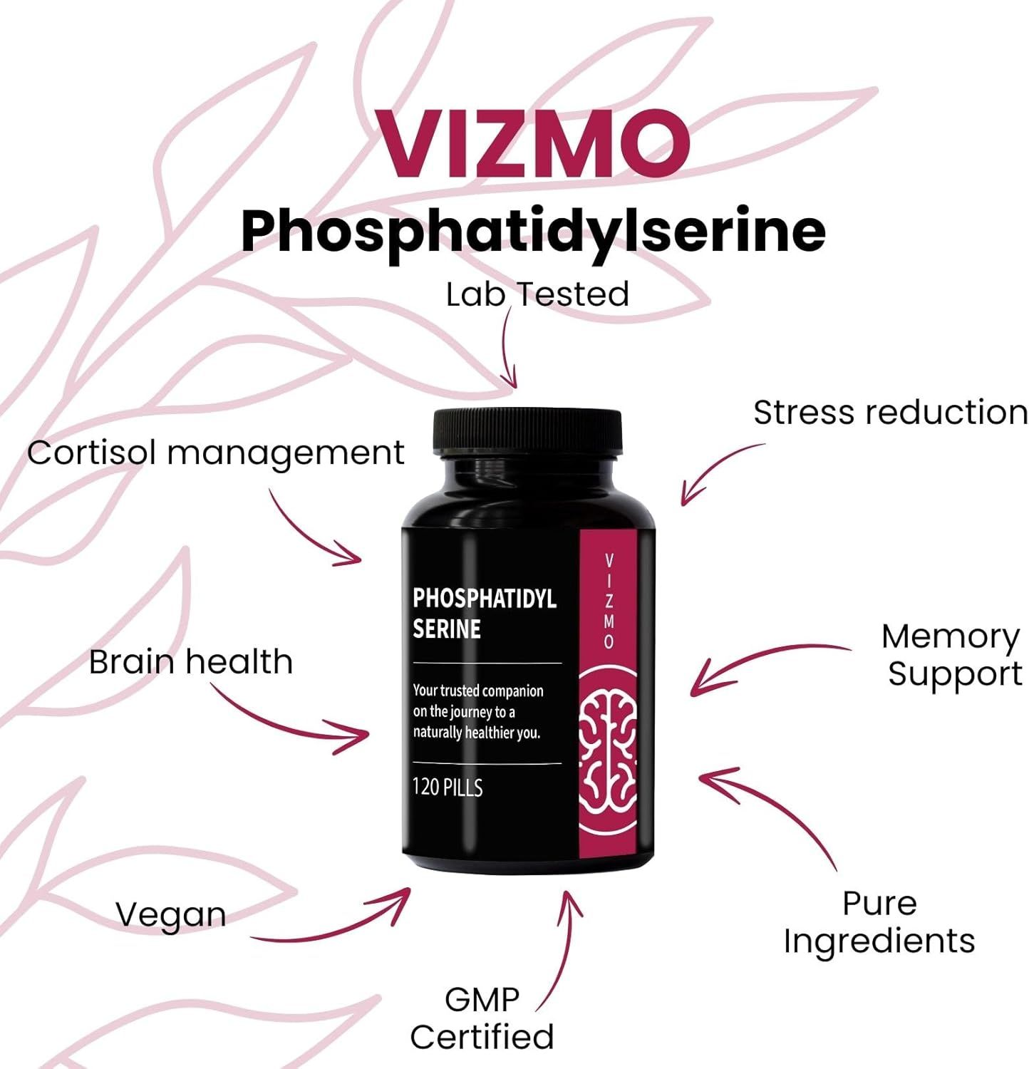 Vizmo Gedächtnis Phosphatidylserin Kapseln