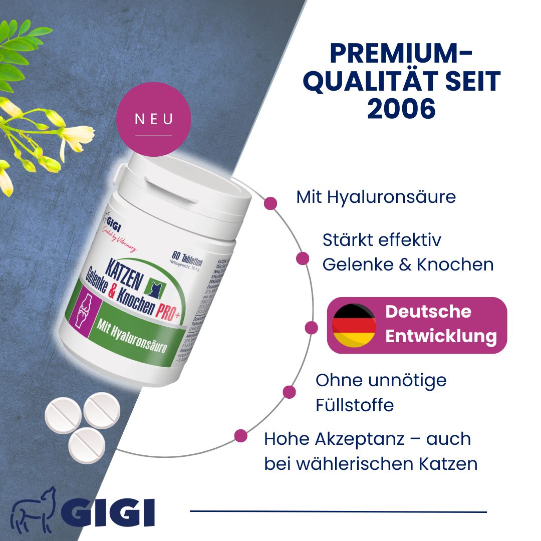 Weiße Tabletten neben einer Dose GIGI VET Katzen Gelenke & Knochen PRO+. Text: Mit Hyaluronsäure, Deutsche Entwicklung.