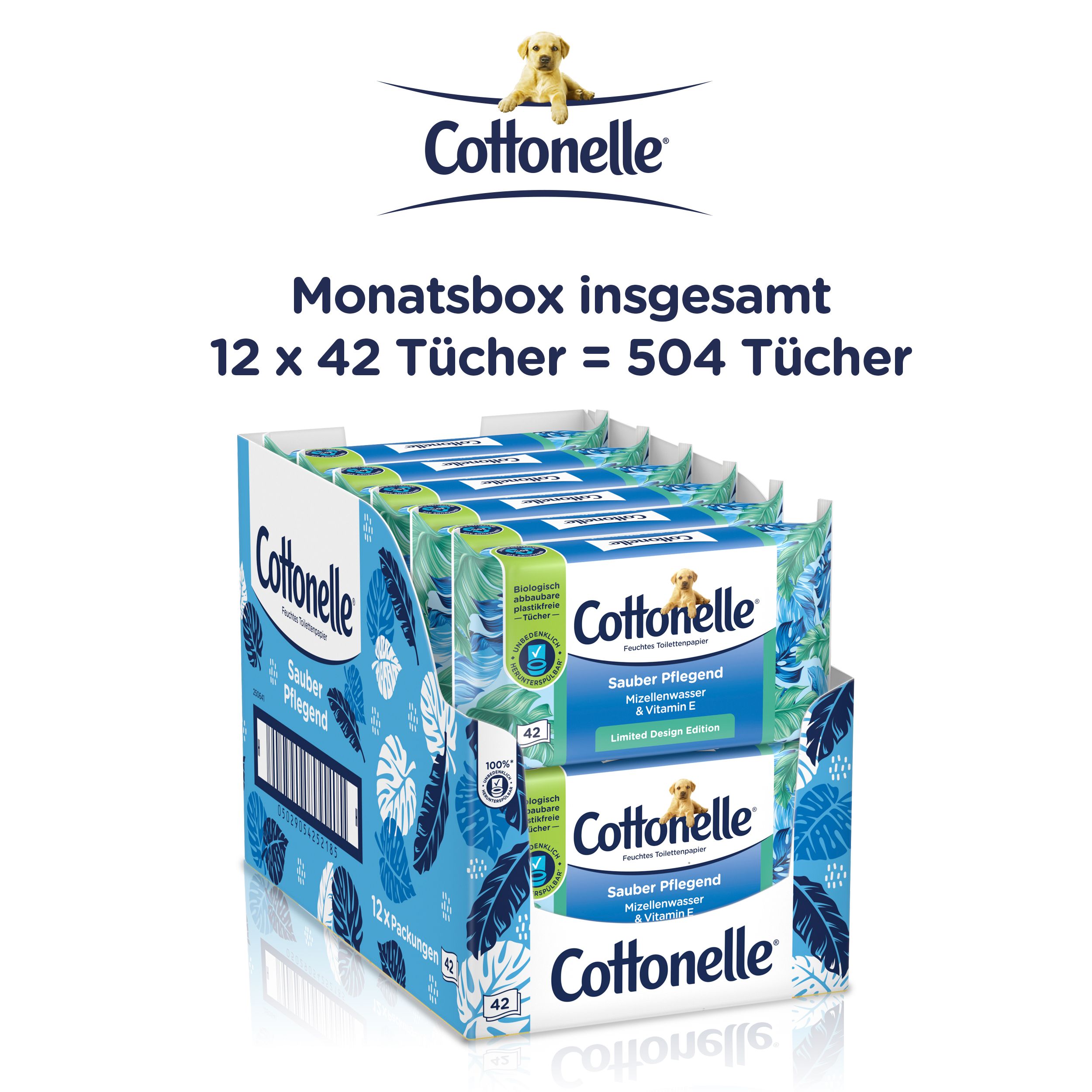 Cottonelle Feuchtes Toilettenpapier, 12 x 42 Tücher. Aufdruck: Sauber Pflegend, Mizellenwasser & Vitamin E, Limited Design Edition. Kartonverpackung.