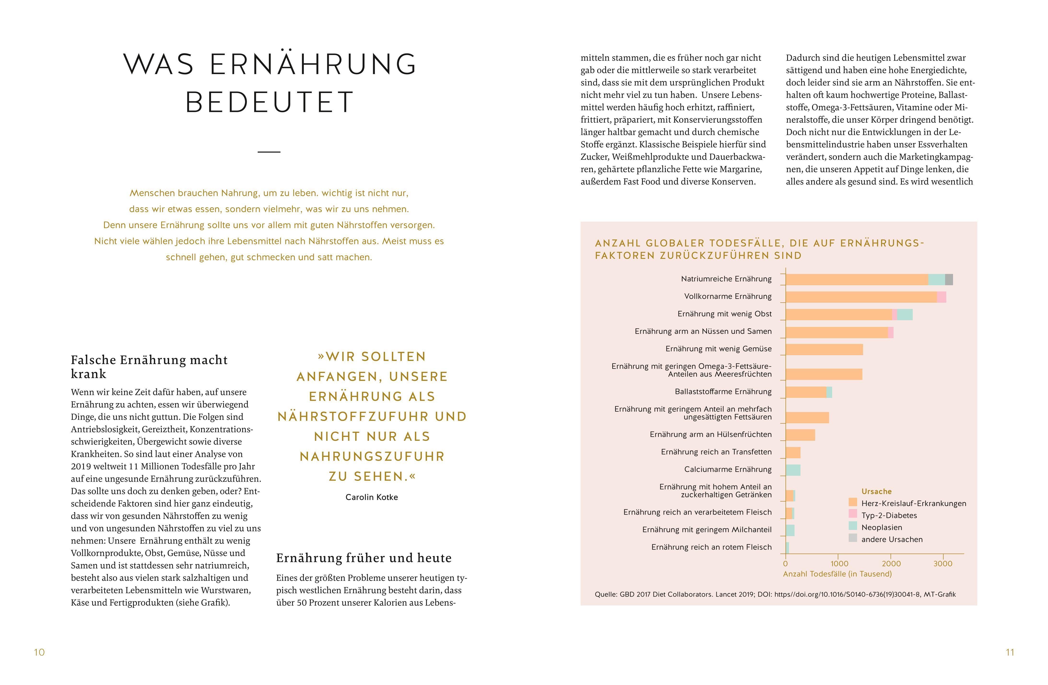 Buchseite mit Text und Diagramm. Titel: "Was Ernährung bedeutet". Diagramm mit Faktoren, die Ernährung beeinflussen.