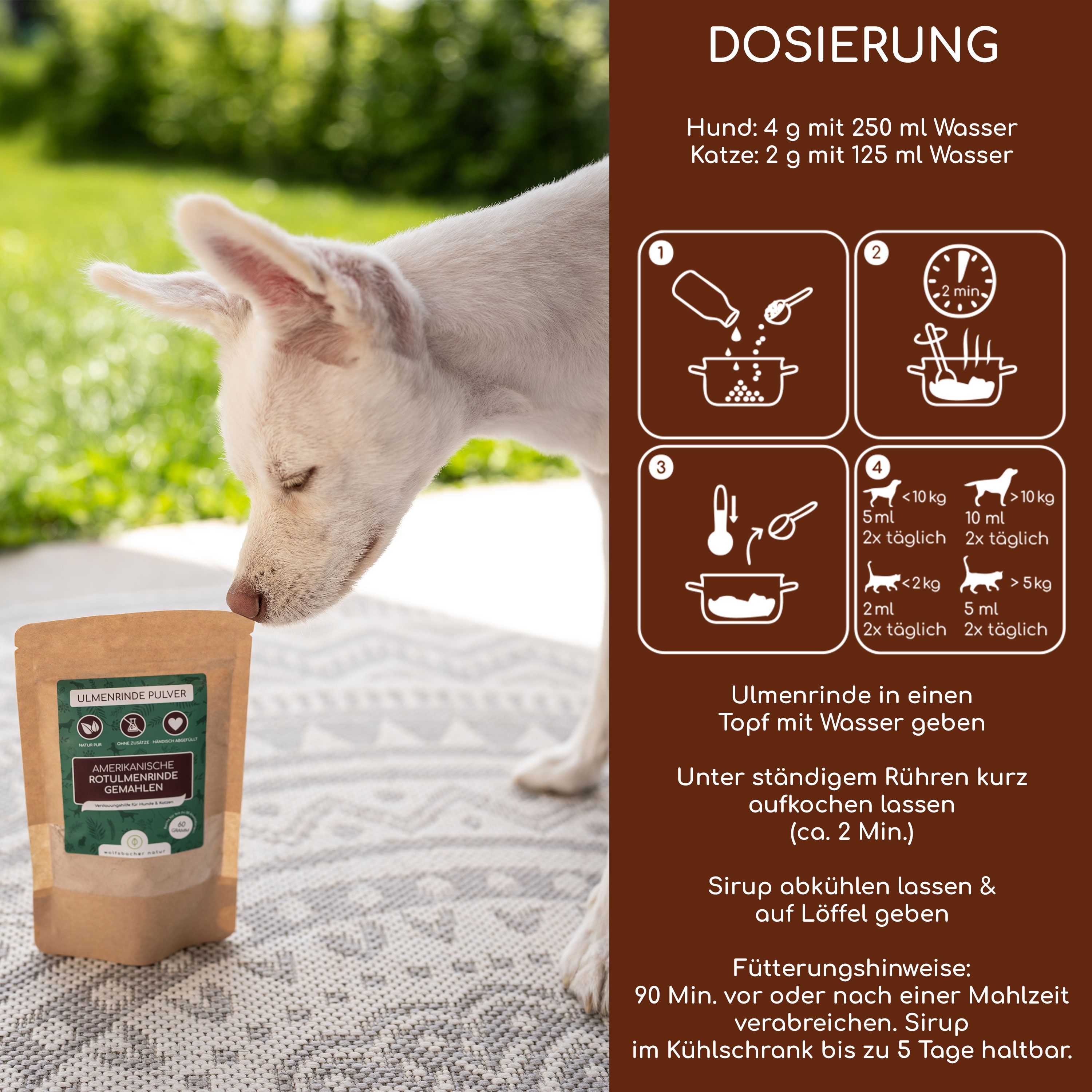 Hund neben Beutel Ulmenrinde Pulver. Dosierungsanleitung: 4g mit 250 ml Wasser für Hunde, 2g mit 125 ml Wasser für Katzen.