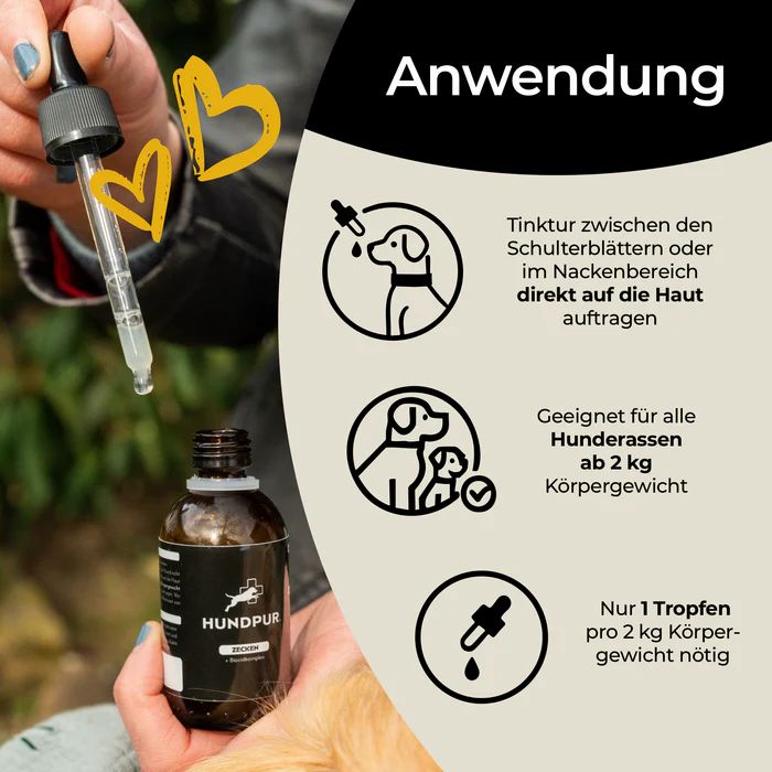 Braune Flasche mit Pipette. Aufschrift Hundpur Zecken Tinktur. Illustrationen: Anwendung, geeignet für alle Hunderassen, nur 1 Tropfen pro 2 kg Körpergewicht.