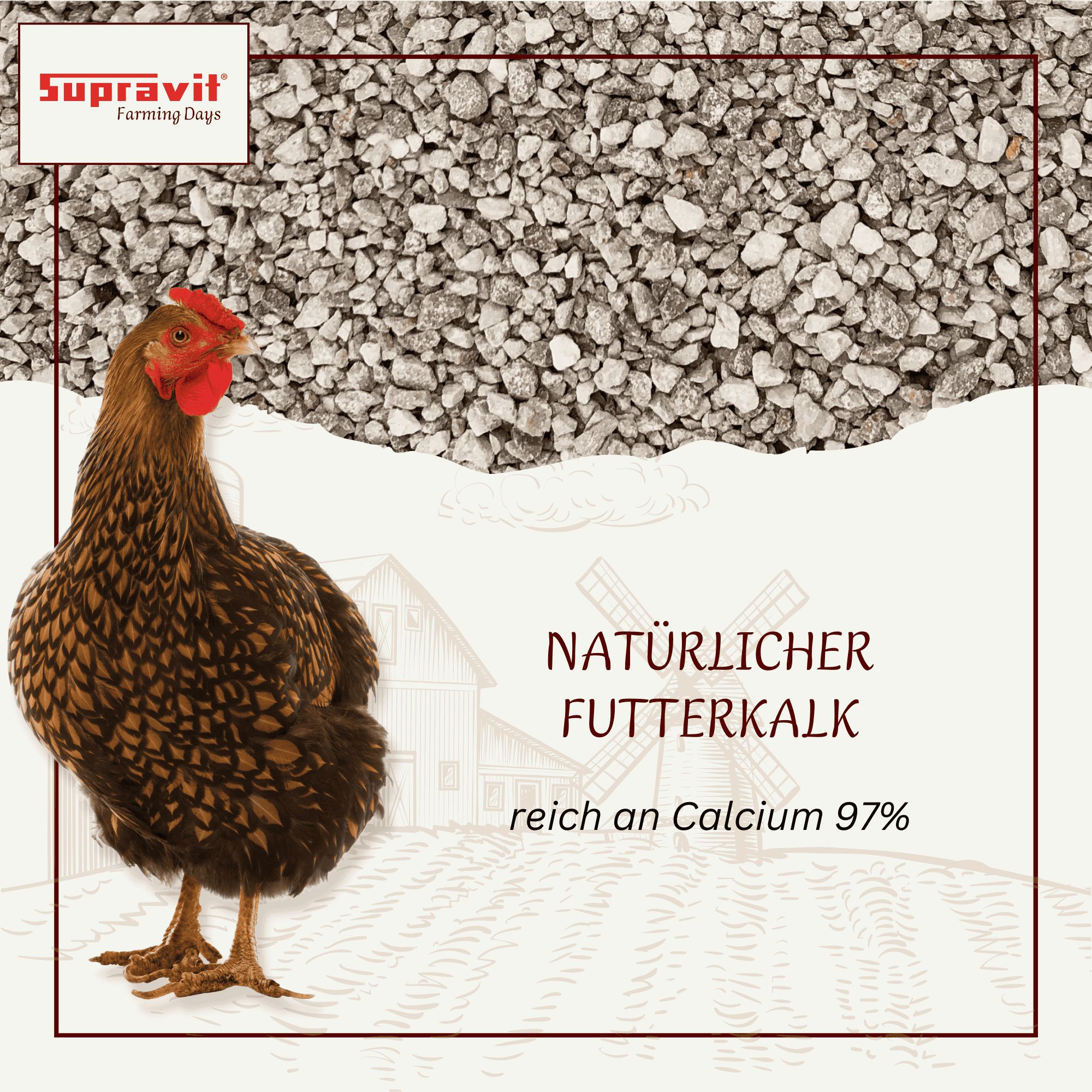 Braunes Huhn mit rotem Kamm. Text: Natürlicher Futterkalk, reich an Calcium 97%. Hintergrund: Kies und Illustrationen.