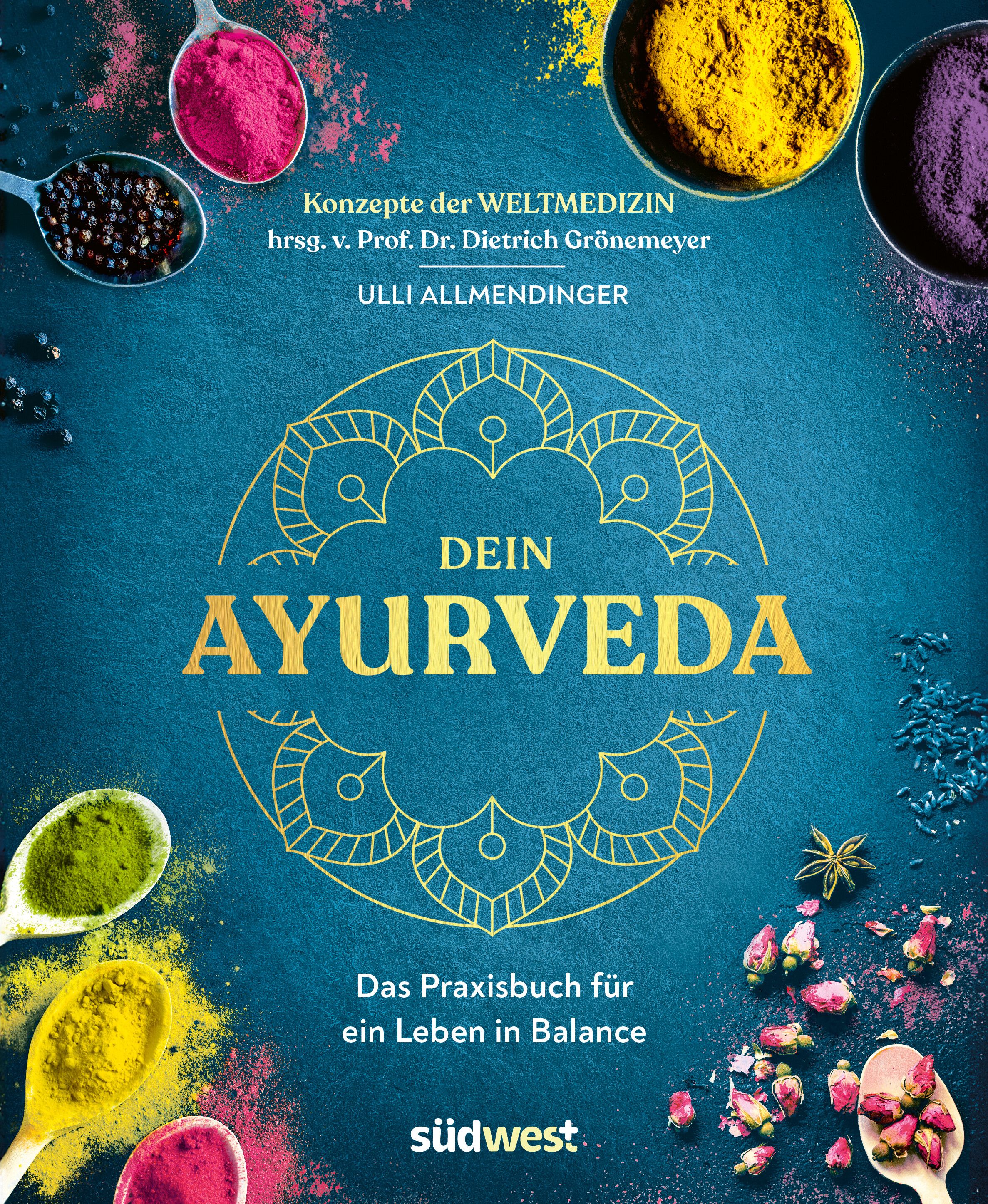 Buchcover mit Titel "DEIN AYURVEDA". Goldene Schrift auf blauem Grund. Oben Gewürze in Schalen und Löffeln.