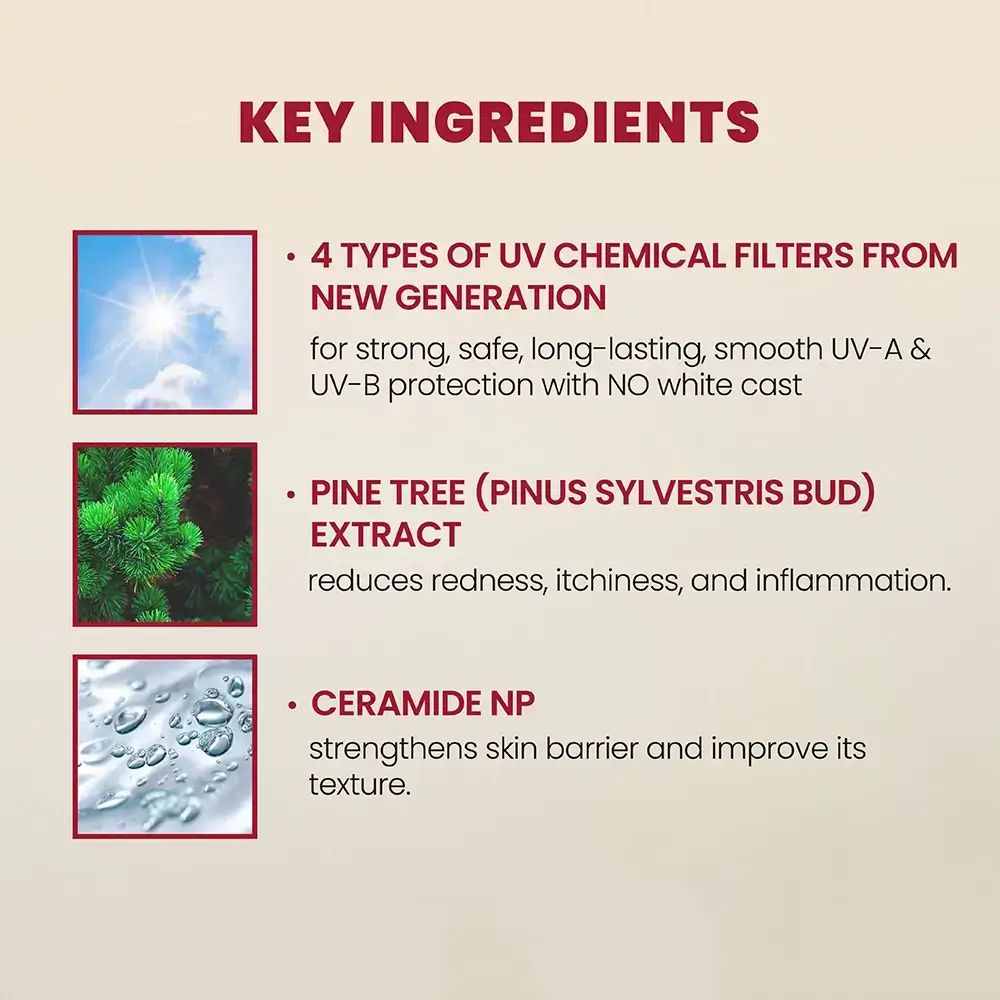 K-SECRET Seoul 1988 Sun Pine Tree + Ceramide SPF 50 Gesichtscreme