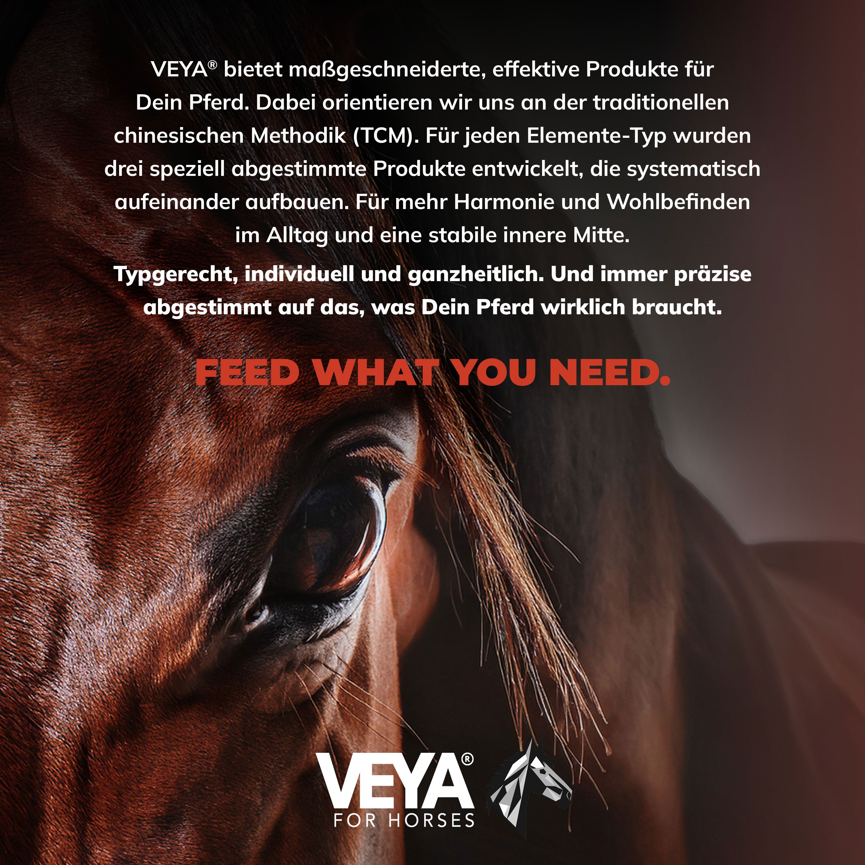 Nahaufnahme eines Pferdes. Text: Feed what you need. Logo: VEYA for Horses.