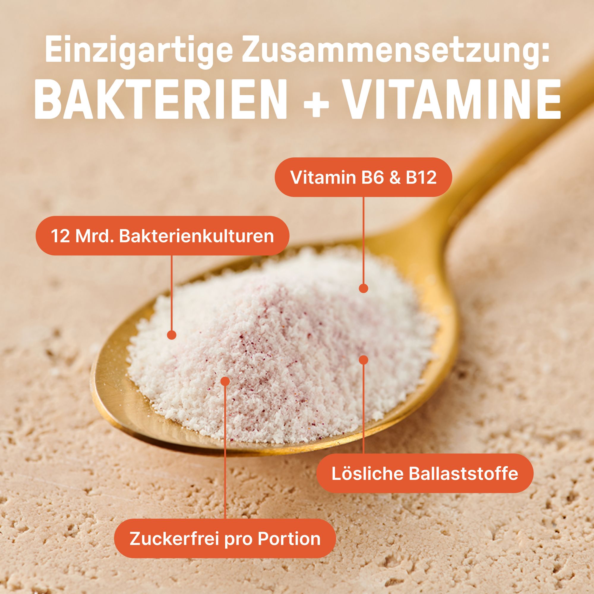 Nahaufnahme eines Löffels mit Pulver. Text: Bakterien + Vitamine, 12 Mrd. Bakterienkulturen, Vitamin B6 & B12, Lösliche Ballaststoffe, Zuckerfrei pro Portion.