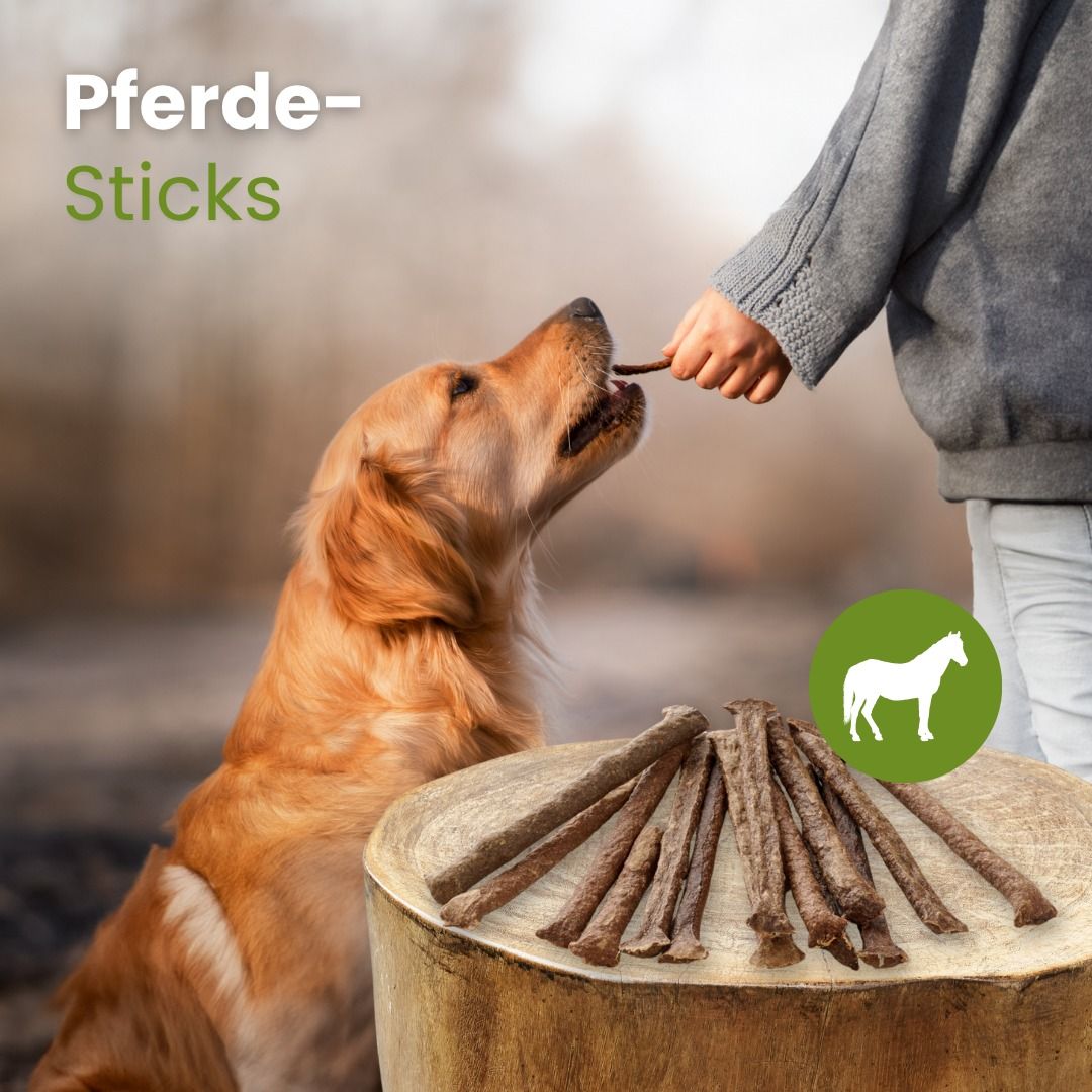 Ein Hund wird von einer Hand mit einem Pferdefleisch-Stick gefüttert, daneben liegen Sticks.