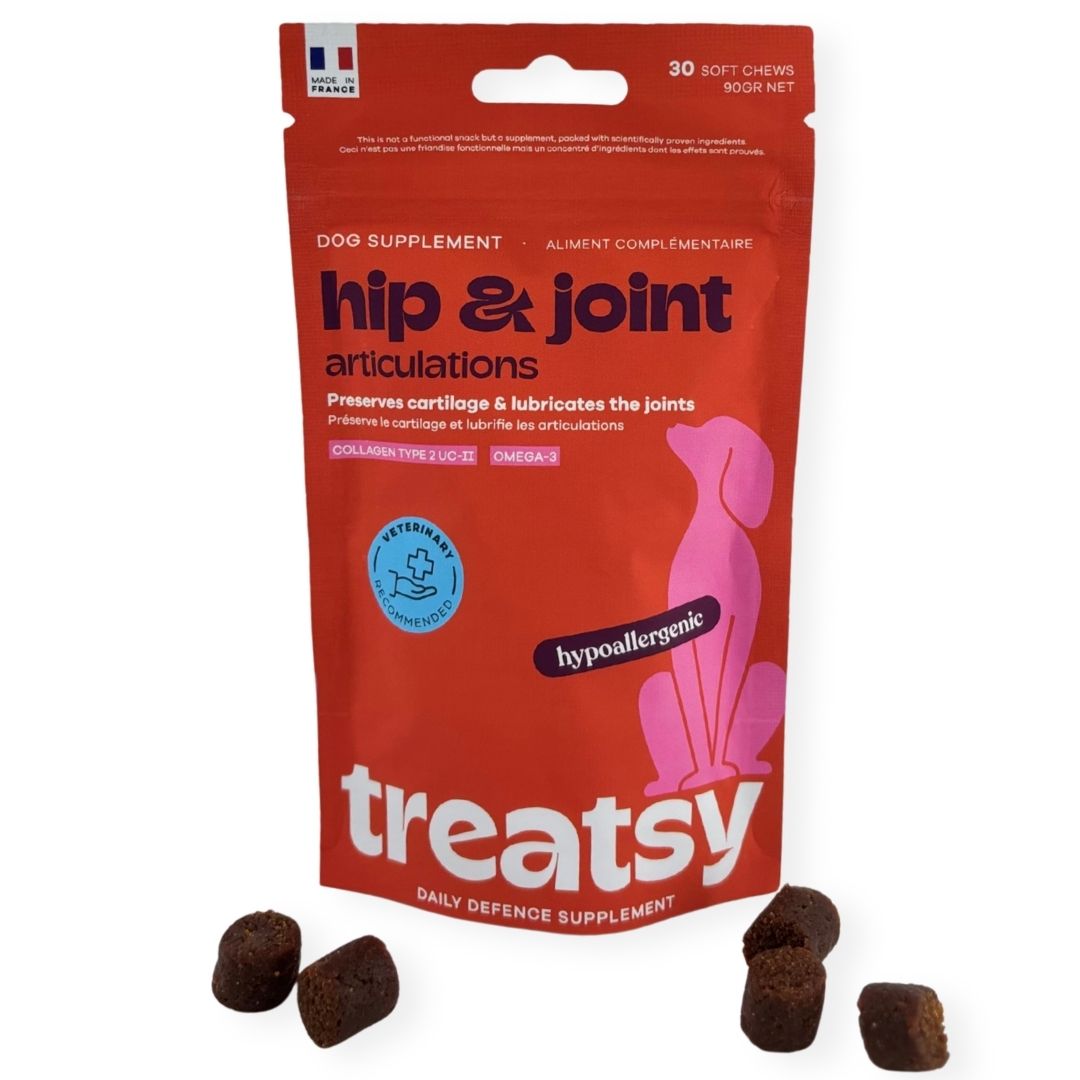 Rote Tüte mit Produkt für Hunde. Text: Hip & Joint, Articulations. Braune, runde Kausnacks liegen daneben.