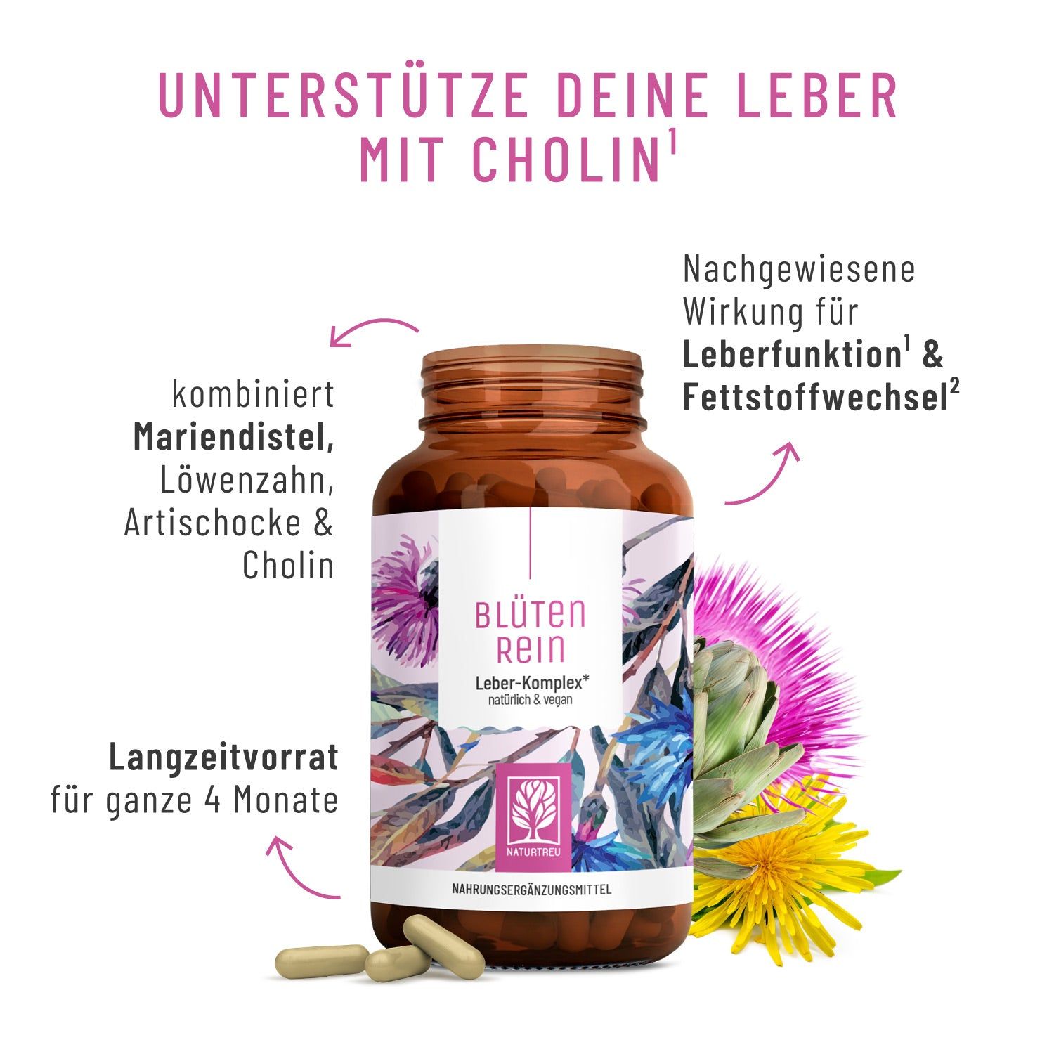Flasche mit Pillen, umgeben von Artischocke, Löwenzahn und Mariendistel-Illustrationen.