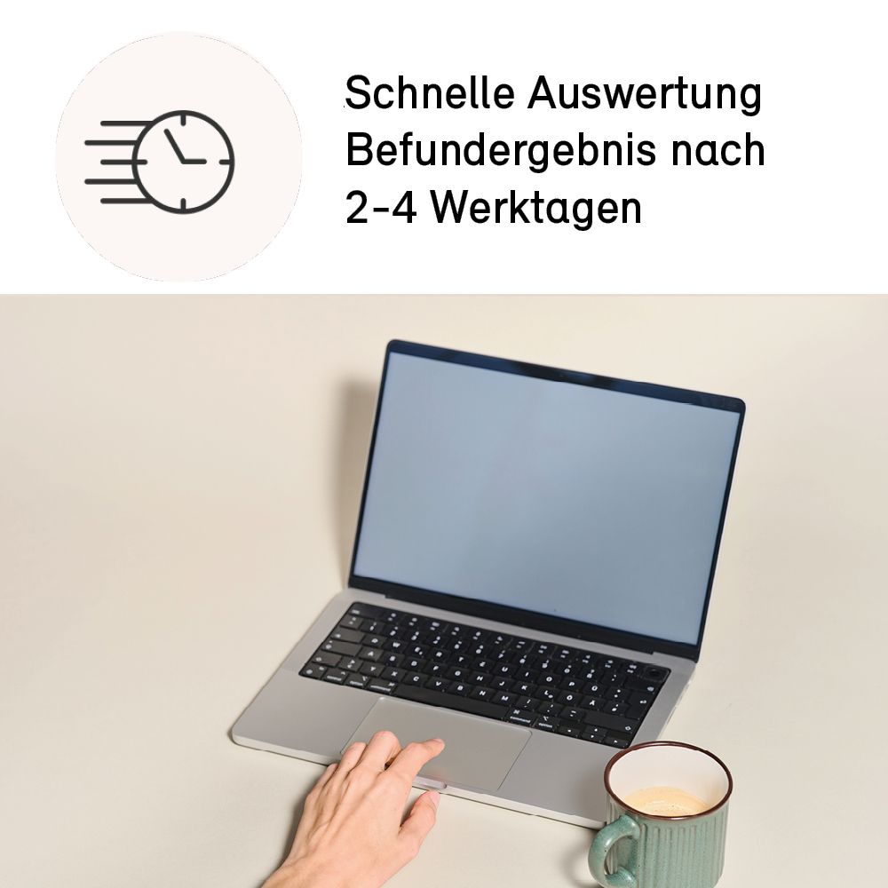 Laptop mit Text. Symbol: Schnelle Auswertung. Text: Befundergebnis nach 2-4 Werktagen.