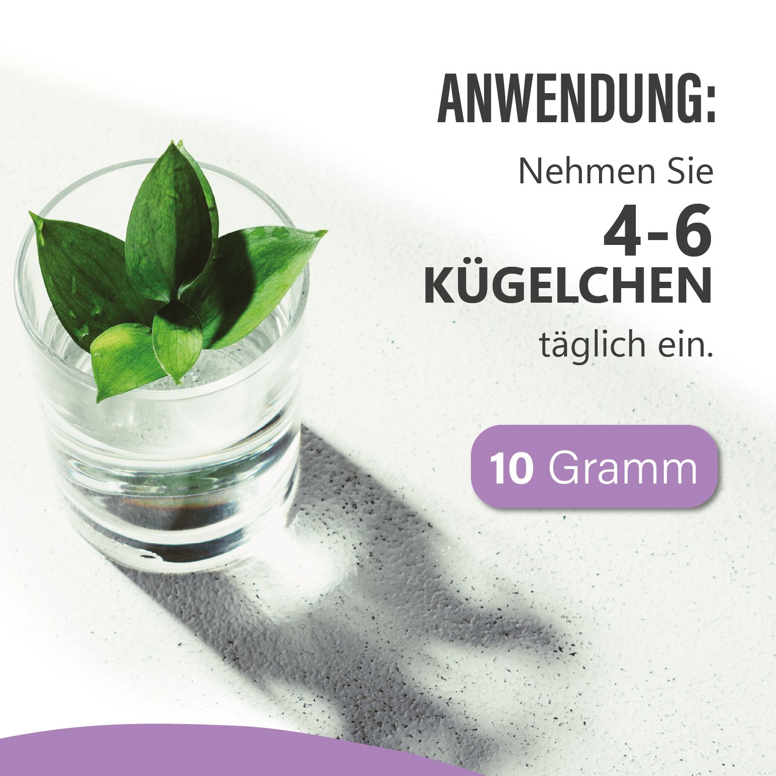 Glas mit Wasser und Blättern. Text: "Nehmen Sie 4-6 Kügelchen täglich ein." und "10 Gramm".