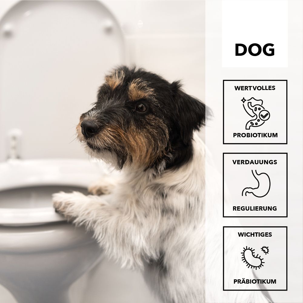 entoVITAL DOG stop&GO