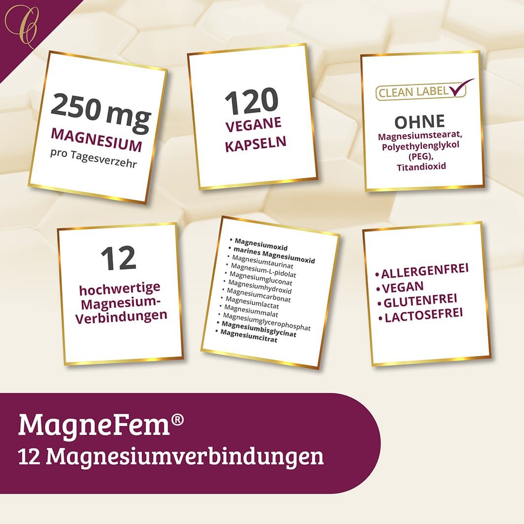Sechs Karten mit Informationen zu MagneFem. Enthalten: 250 mg Magnesium, 120 vegane Kapseln, ohne Magnesiumstearat, 12 Magnesium-Verbindungen, allergenfrei, vegan, glutenfrei.
