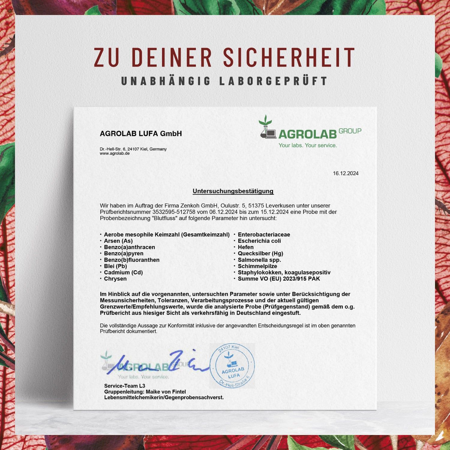 BLUTFLUSS Nattokinase-Komplex mit Arginin und Citrullin- NATURTREU®