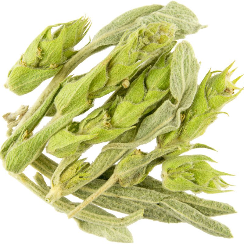 Kräuterkontor Griechischer Bergtee, geschnitten