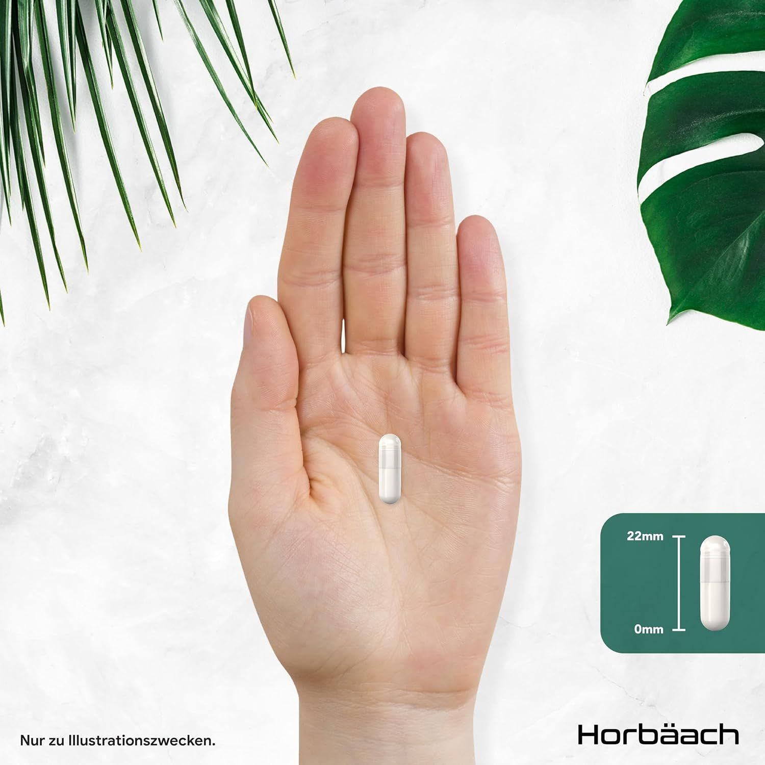 Horbäach Probiona Kulturen-Komplex
