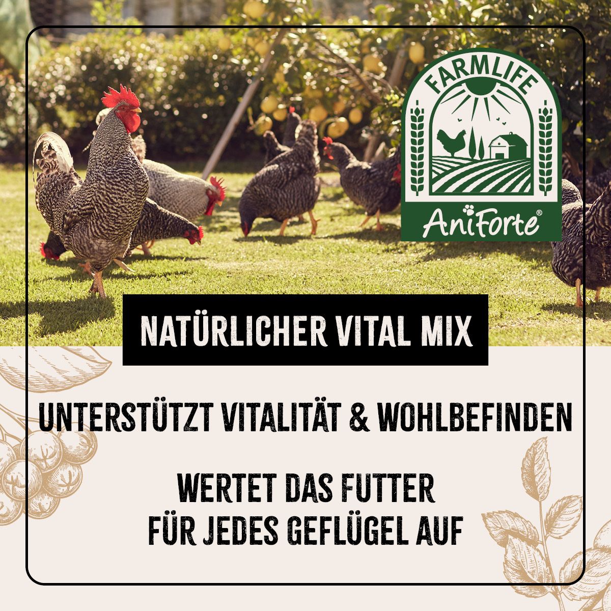 AniForte FarmLife Geflügel Vital Mix Pulver