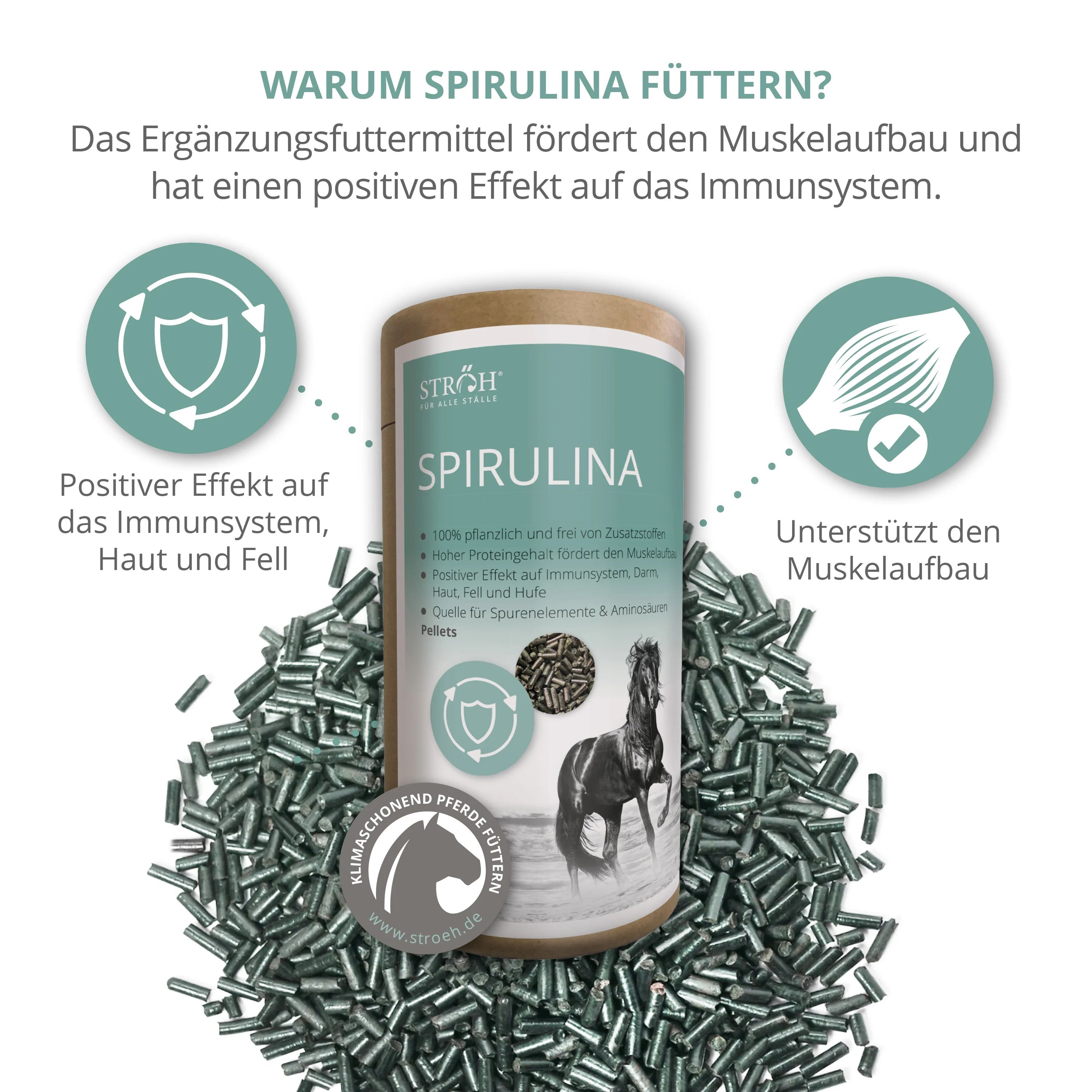 Zylindrische Dose Spirulina-Pellets, umgeben von Pellets. Text: Fördert Muskelaufbau, positiver Effekt auf Immunsystem, Haut und Fell. Logo: Klimaschonend Pferde füttern.