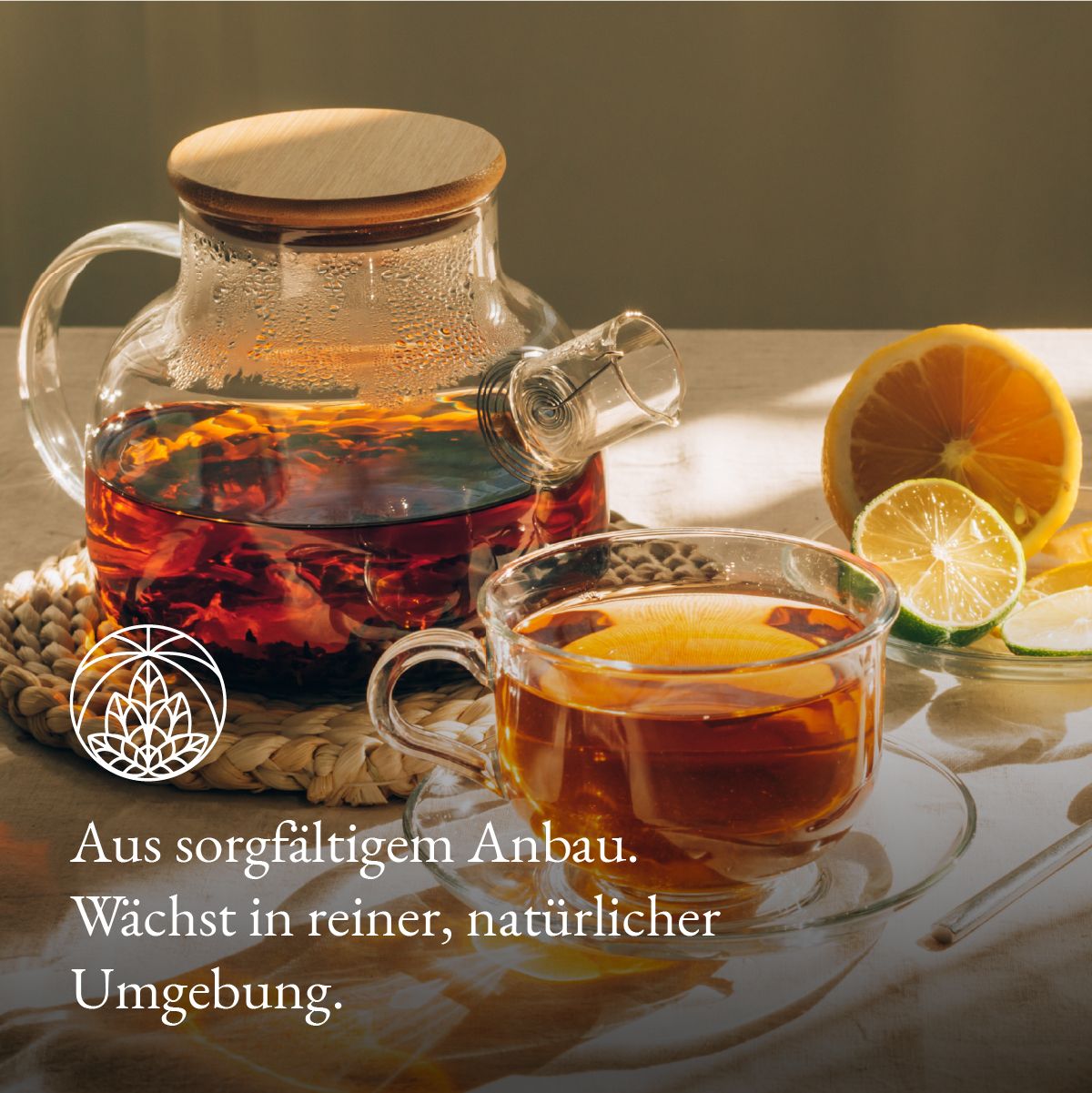 Glas-Teekanne mit Tee und Zitronenscheiben. Logo. Text: Aus sorgfältigem Anbau. Wächst in reiner, natürlicher Umgebung.