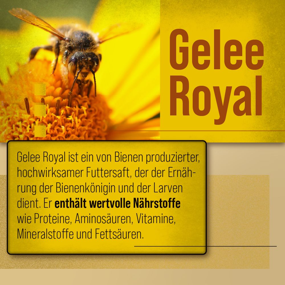 Sanct Bernhard Königinnen Propolis Creme