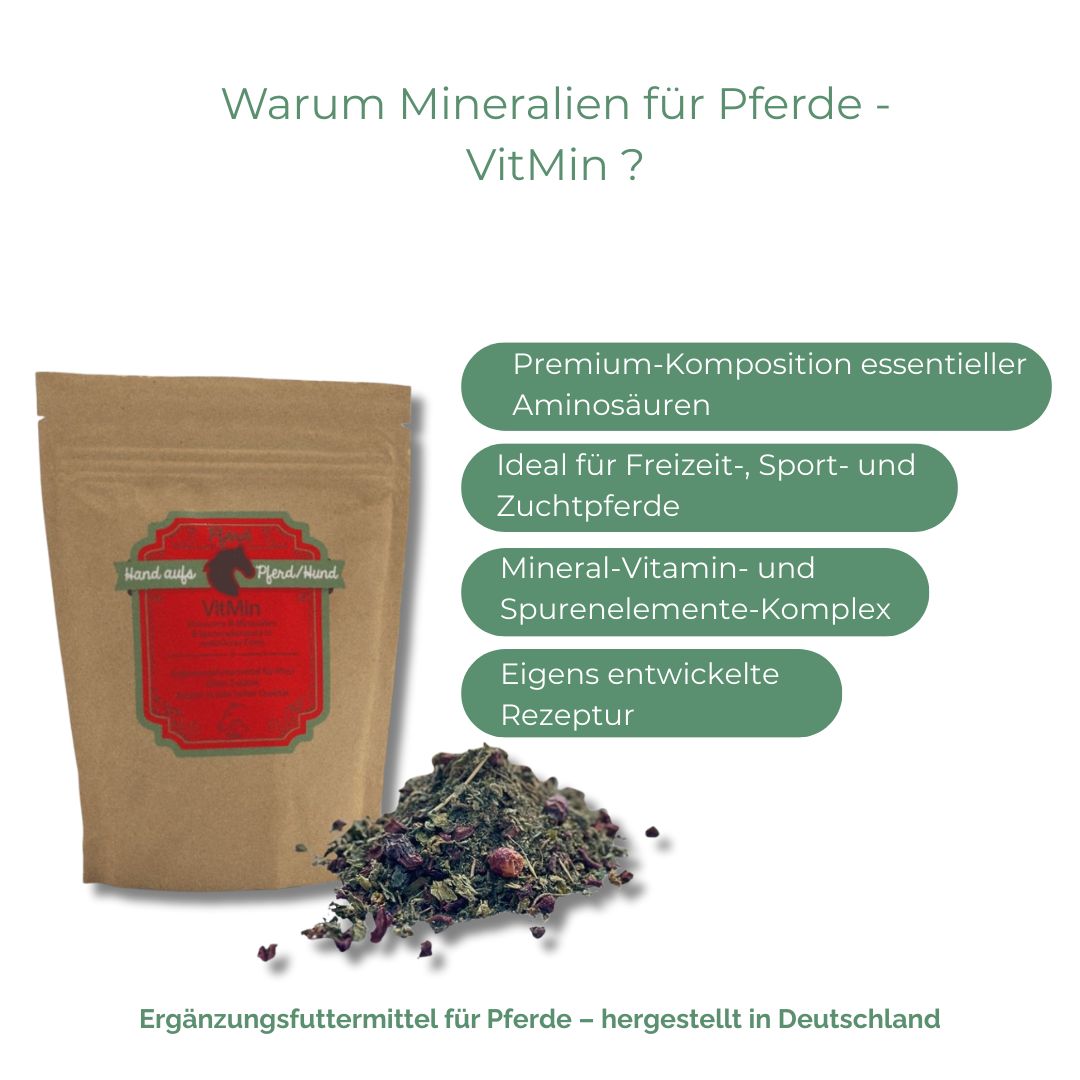 Beutel mit Produktetikett und Kräutern. Text: "Warum Mineralien für Pferde - VitMin ?" und grüne Infoboxen.