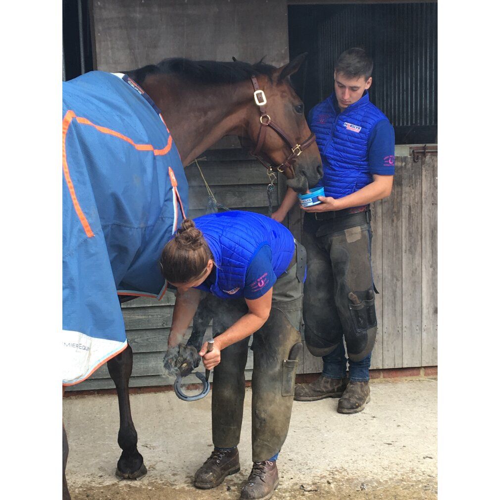 Grüner Behälter mit brauner Masse. Aufschrift: mini Horslyx Respiratory. Pferd-Illustration. Text und Logos.