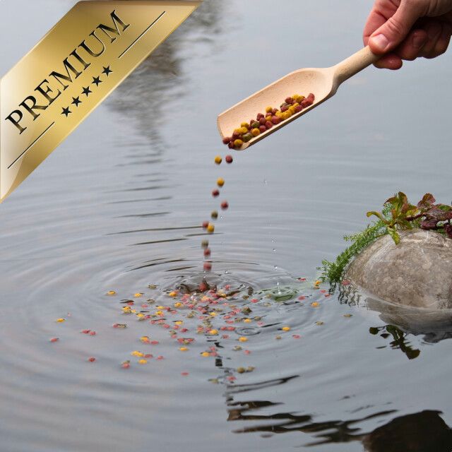 Fischfutter wird mit einem Holzlöffel in einen Teich gegeben. Goldene Plakette mit Aufschrift: PREMIUM.