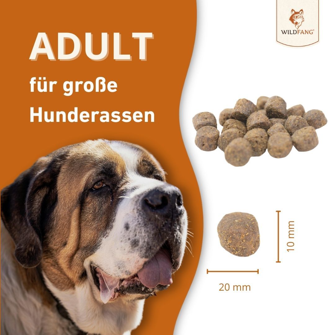 Hundefutter-Pellets neben einem St. Bernhardiner. Text: ADULT für große Hunderassen. Maße: 20mm x 10mm.