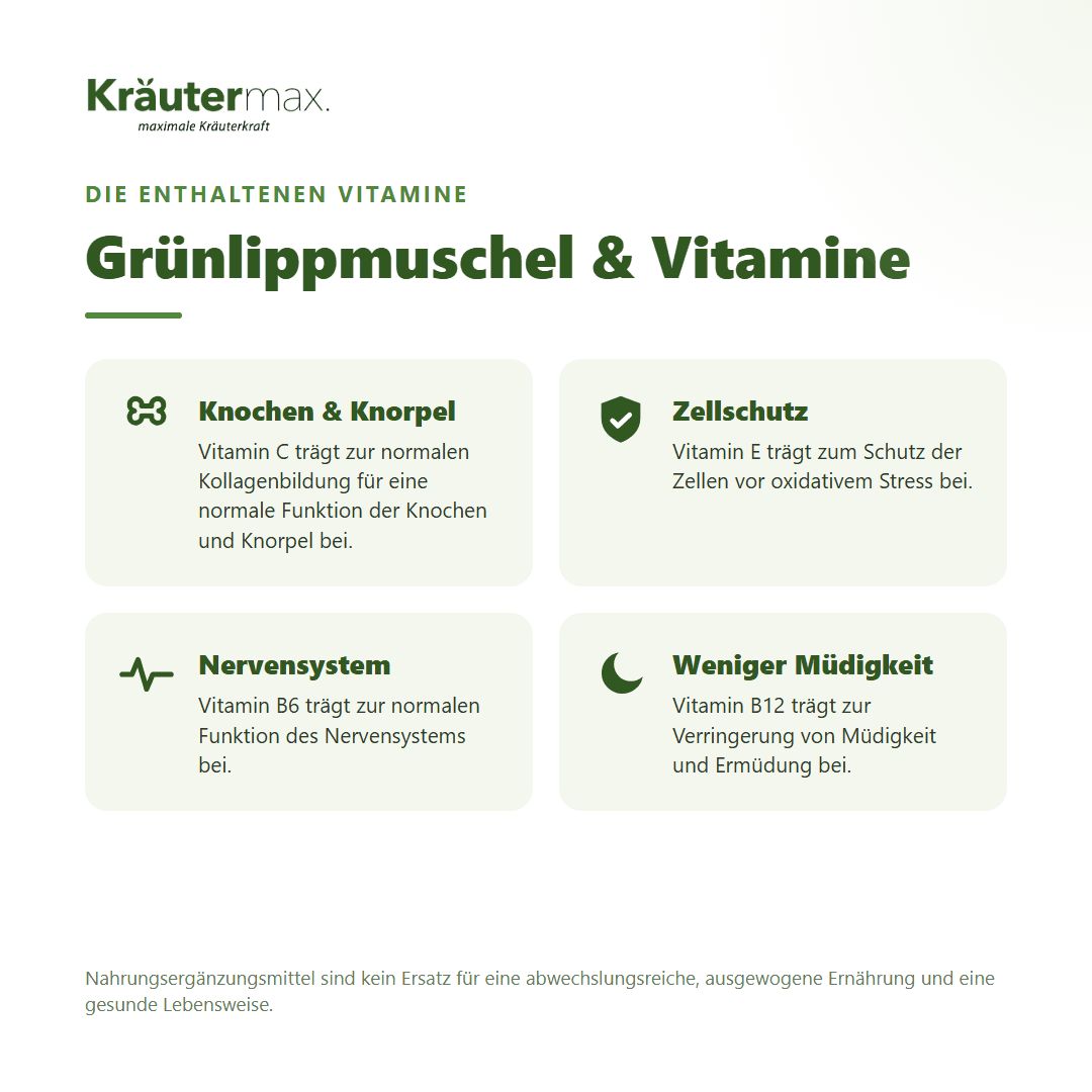 Übersicht der enthaltenen Vitamine und deren Vorteile für Knochen, Knorpel, Zellen und Nervensystem.