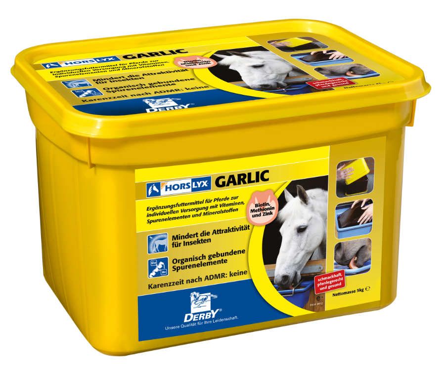 DERBY Horslyx Garlic