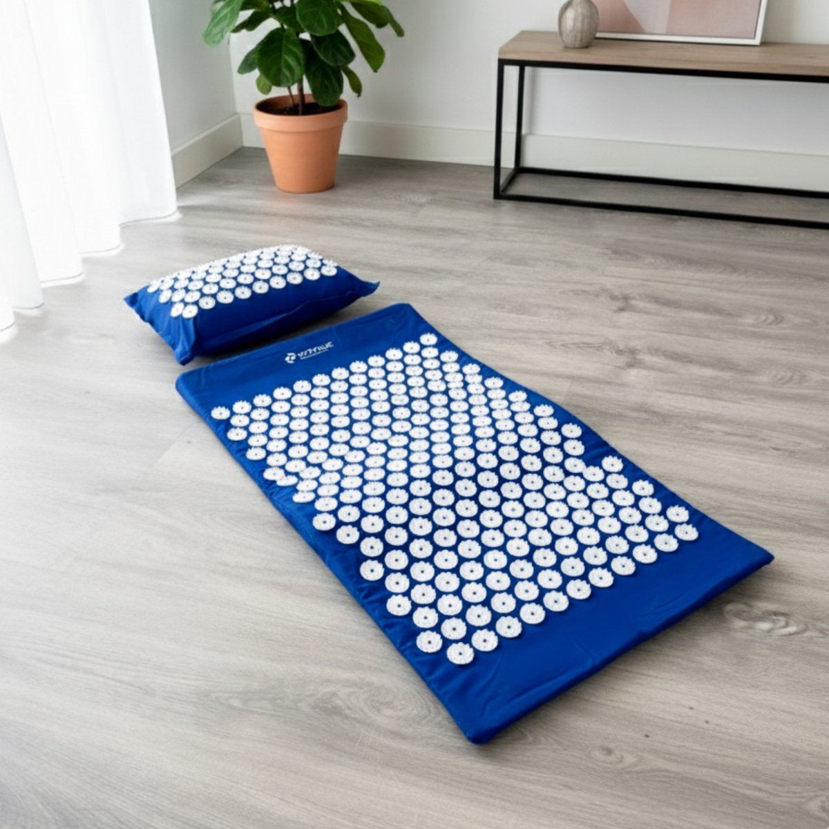 Blaues Akupressur-Set auf Holzboden. Matte und Kissen mit weißen Noppen. Helle Umgebung. Pflanze im Hintergrund.