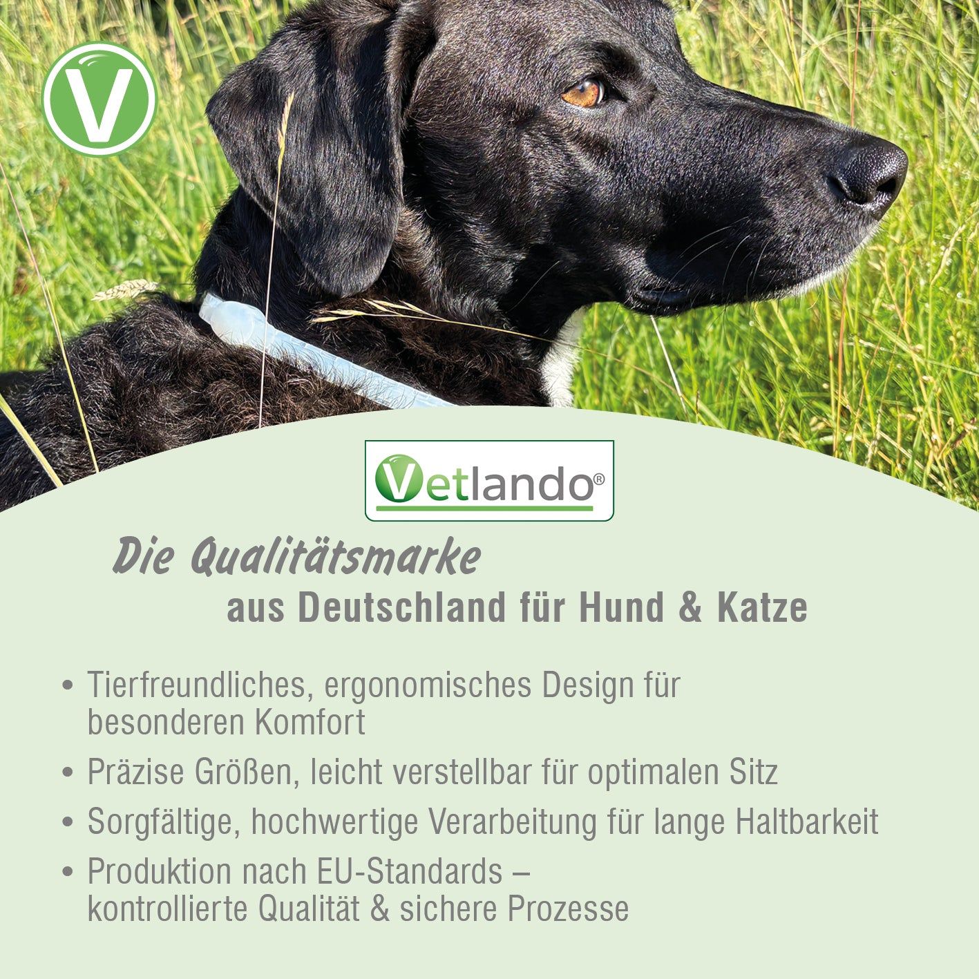 Vetlando Zecken- & Floh-Halsband  Kokolaurin für Hunde
