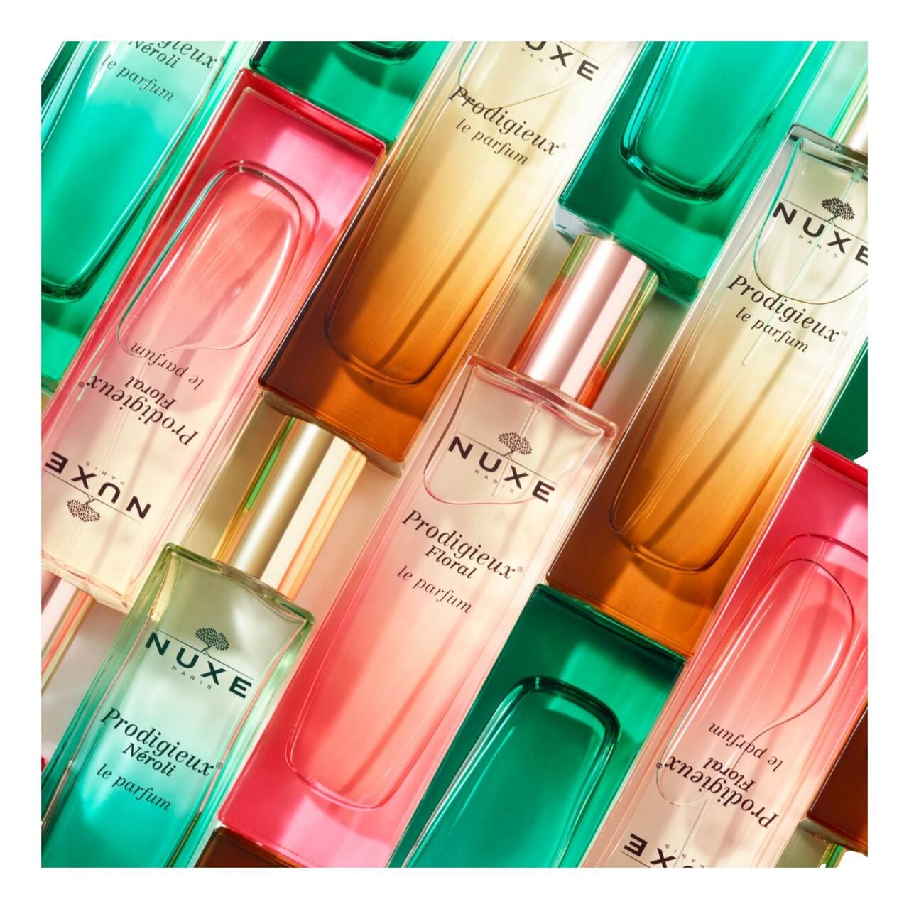 Verschiedene NUXE Parfums. Flaschen in verschiedenen Farben. Draufsicht.
