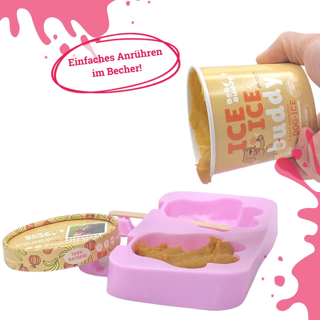 BeG Buddy Starter-Kit Dog Eis für Hunde