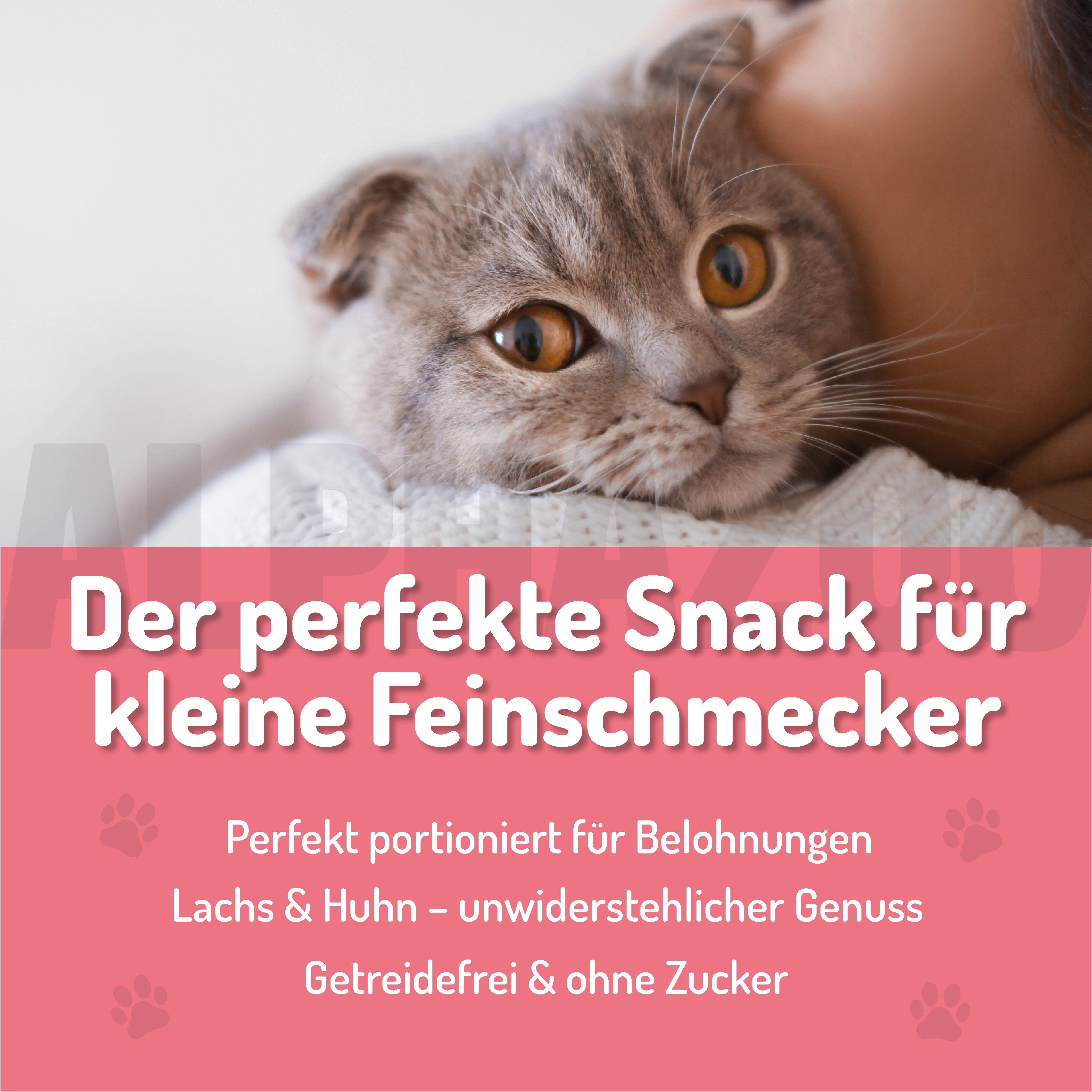 Katze mit Produktnamen im Hintergrund. Text: Der perfekte Snack für kleine Feinschmecker. Perfekt portioniert für Belohnungen.
